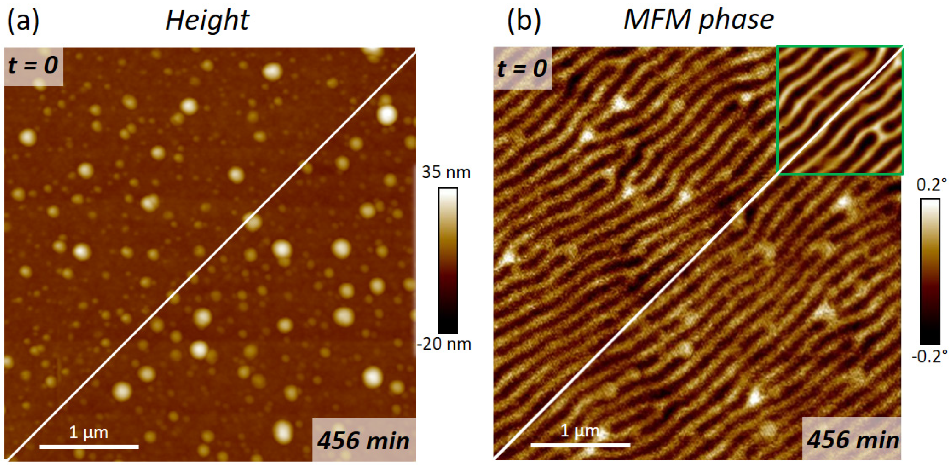 Nanomaterials 13 01217 g008