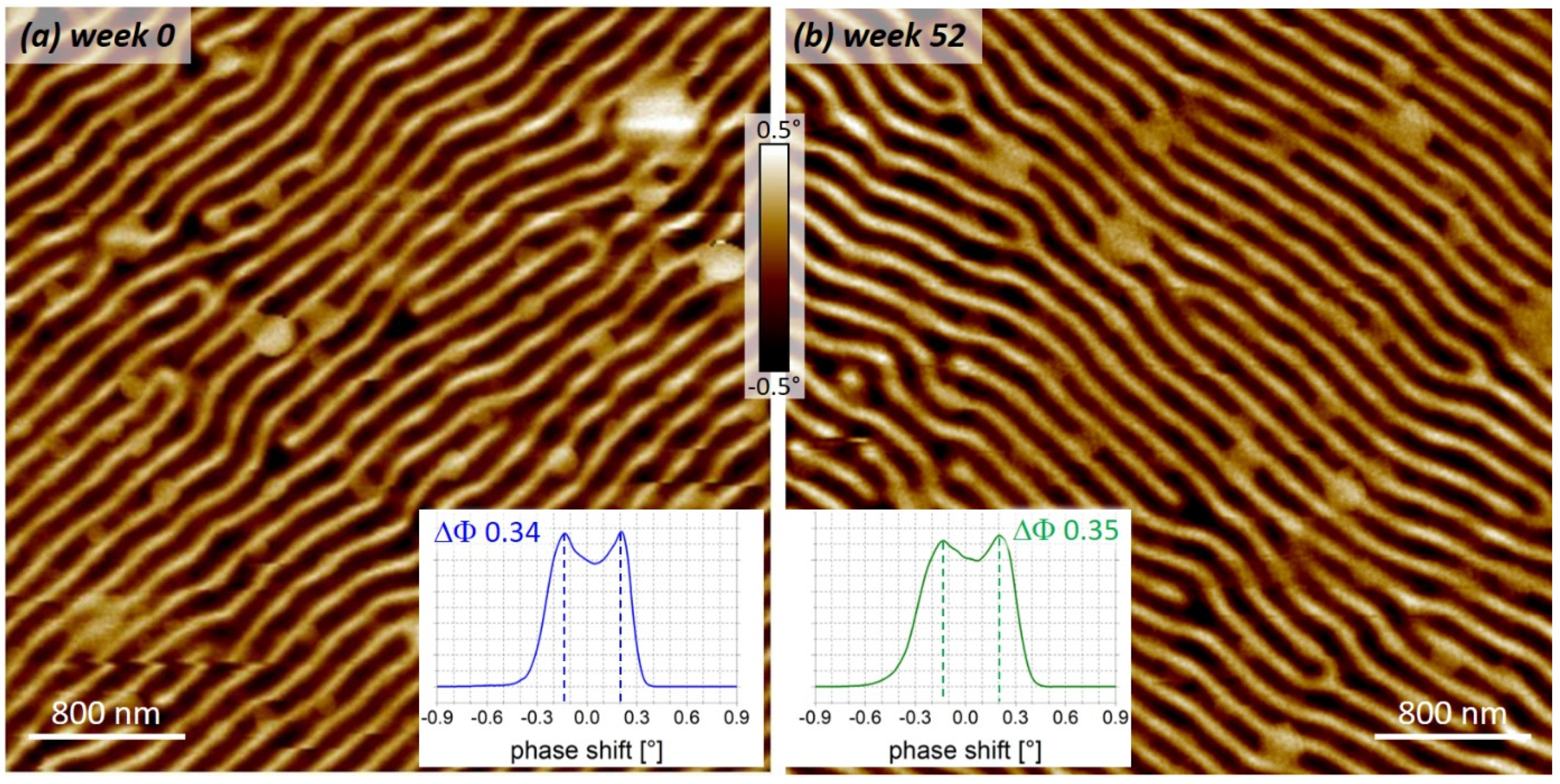 Nanomaterials 13 01217 g009