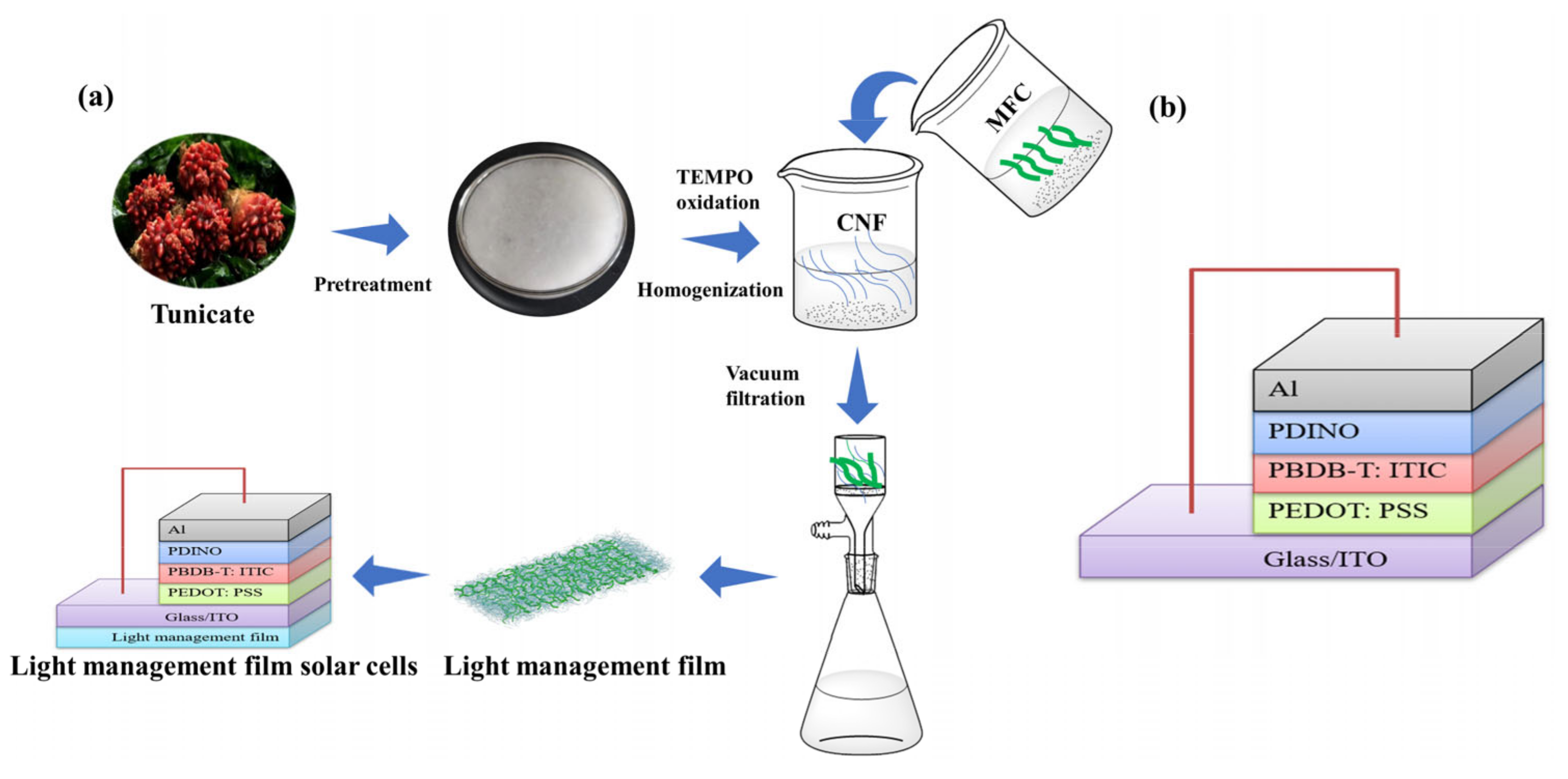 Nanomaterials 13 01221 g001