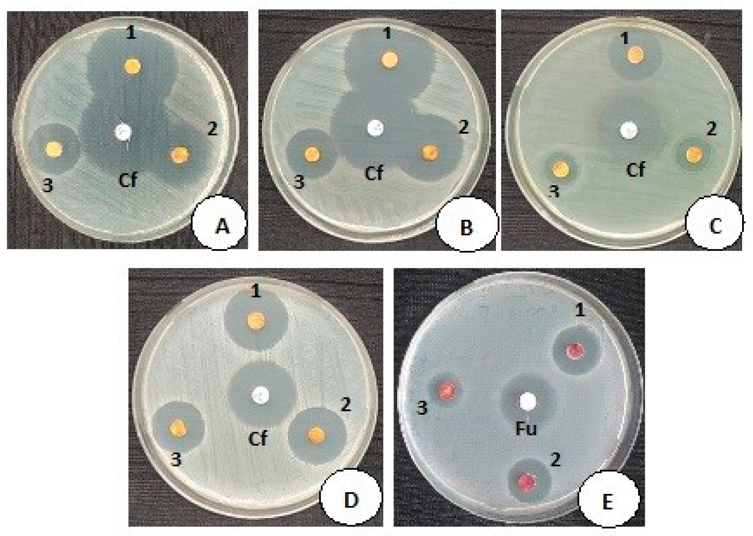 Nanomaterials 13 01227 g004