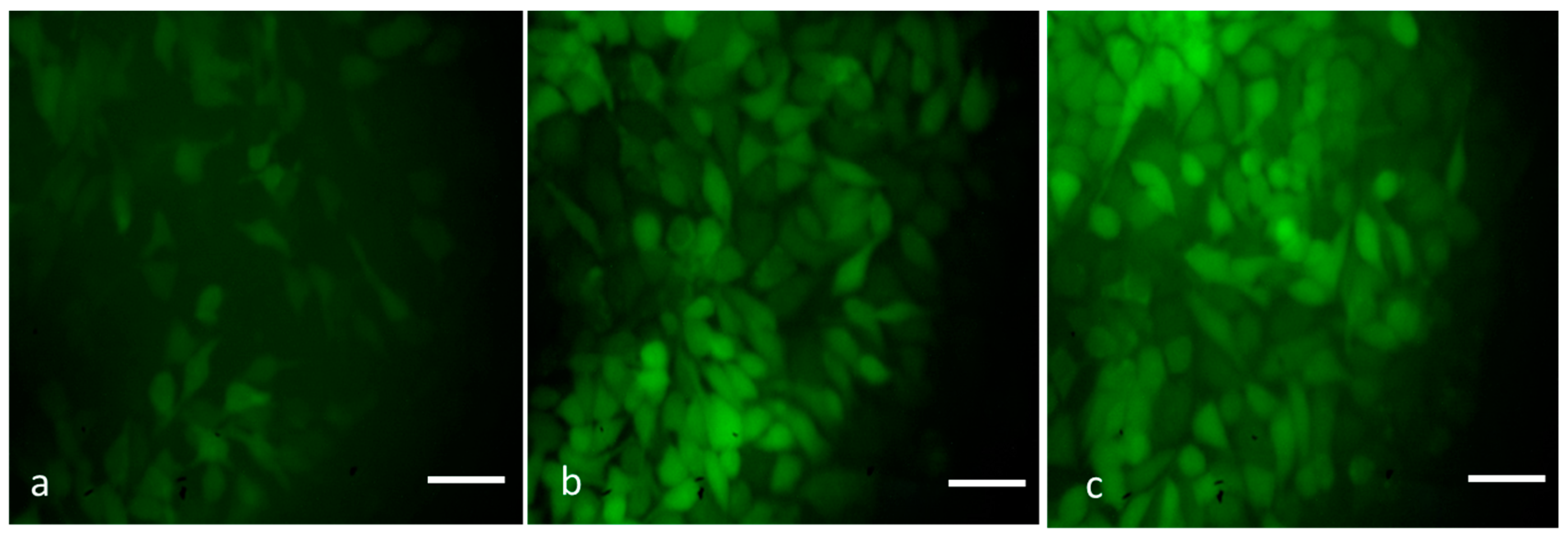 Nanomaterials 13 01227 g008