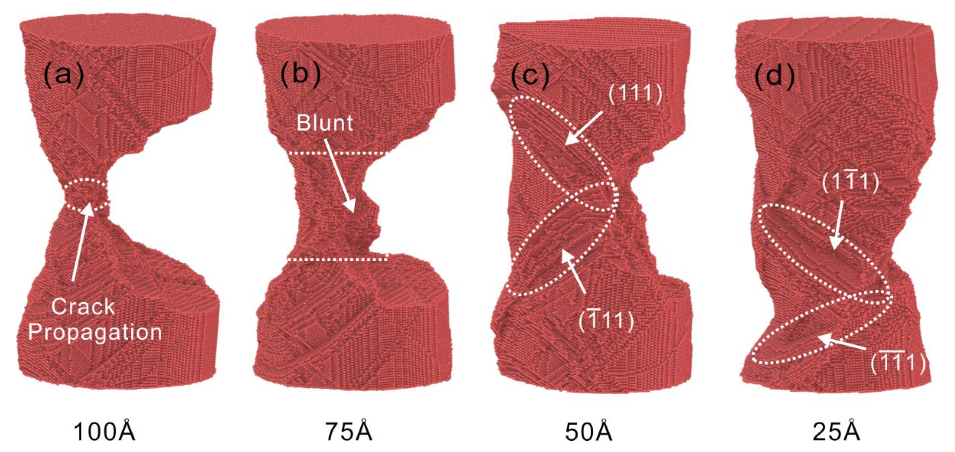 Nanomaterials 13 01231 g007
