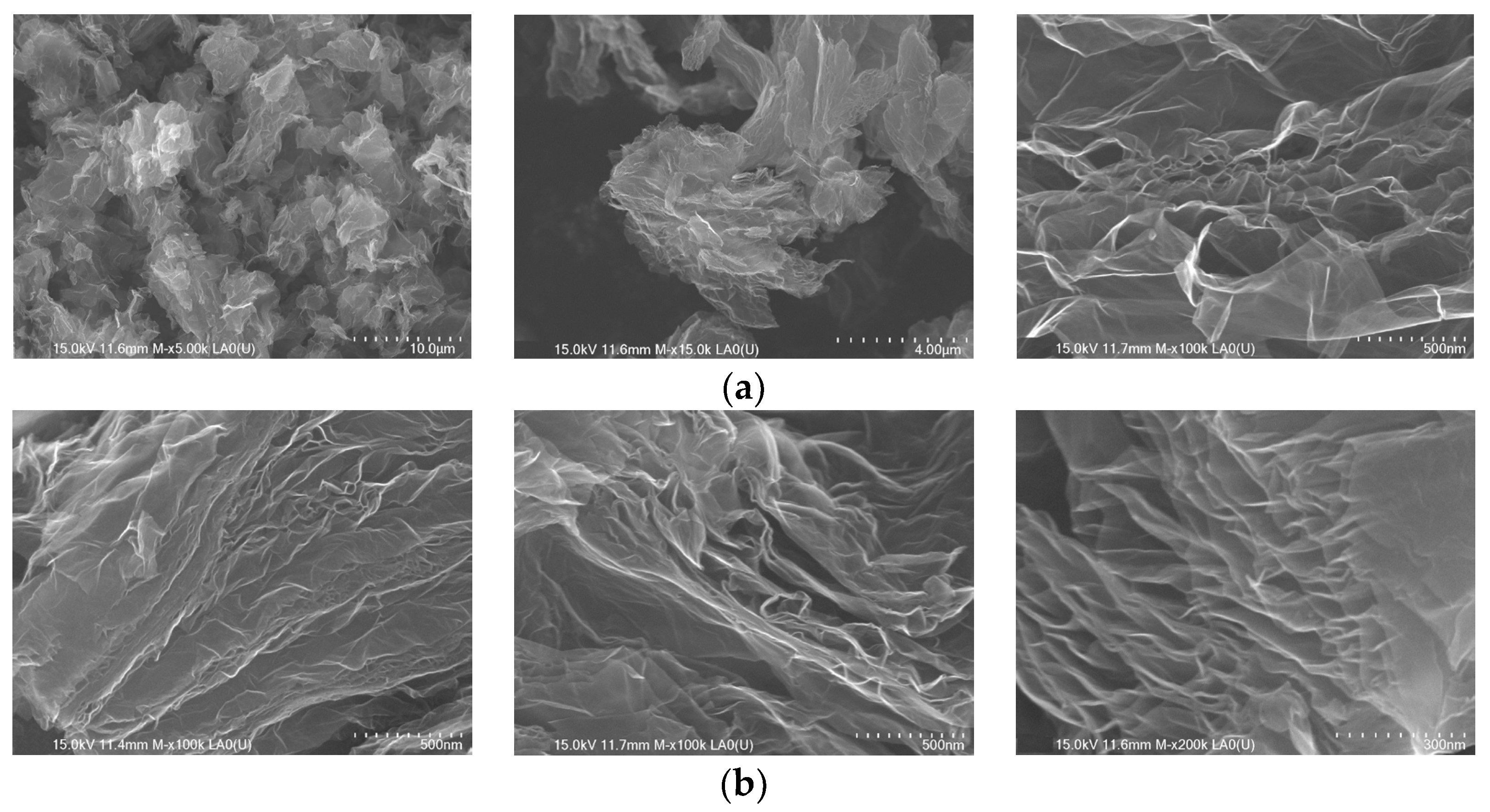 Nanomaterials | Free Full-Text | Nitrogen-Doped Graphene Oxide as Efficient  Metal-Free Electrocatalyst in PEM Fuel Cells
