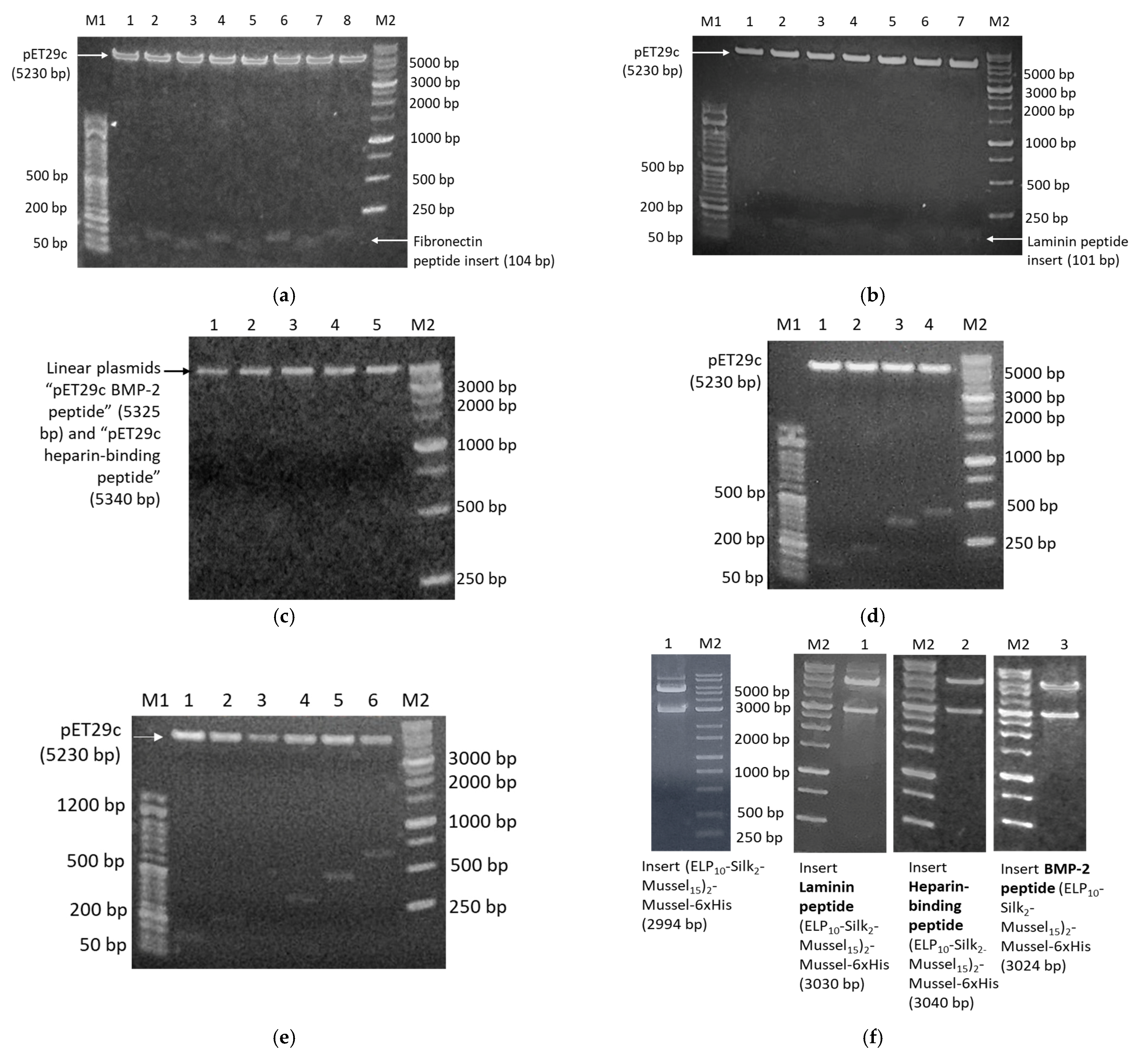 Nanomaterials 13 01236 g001a