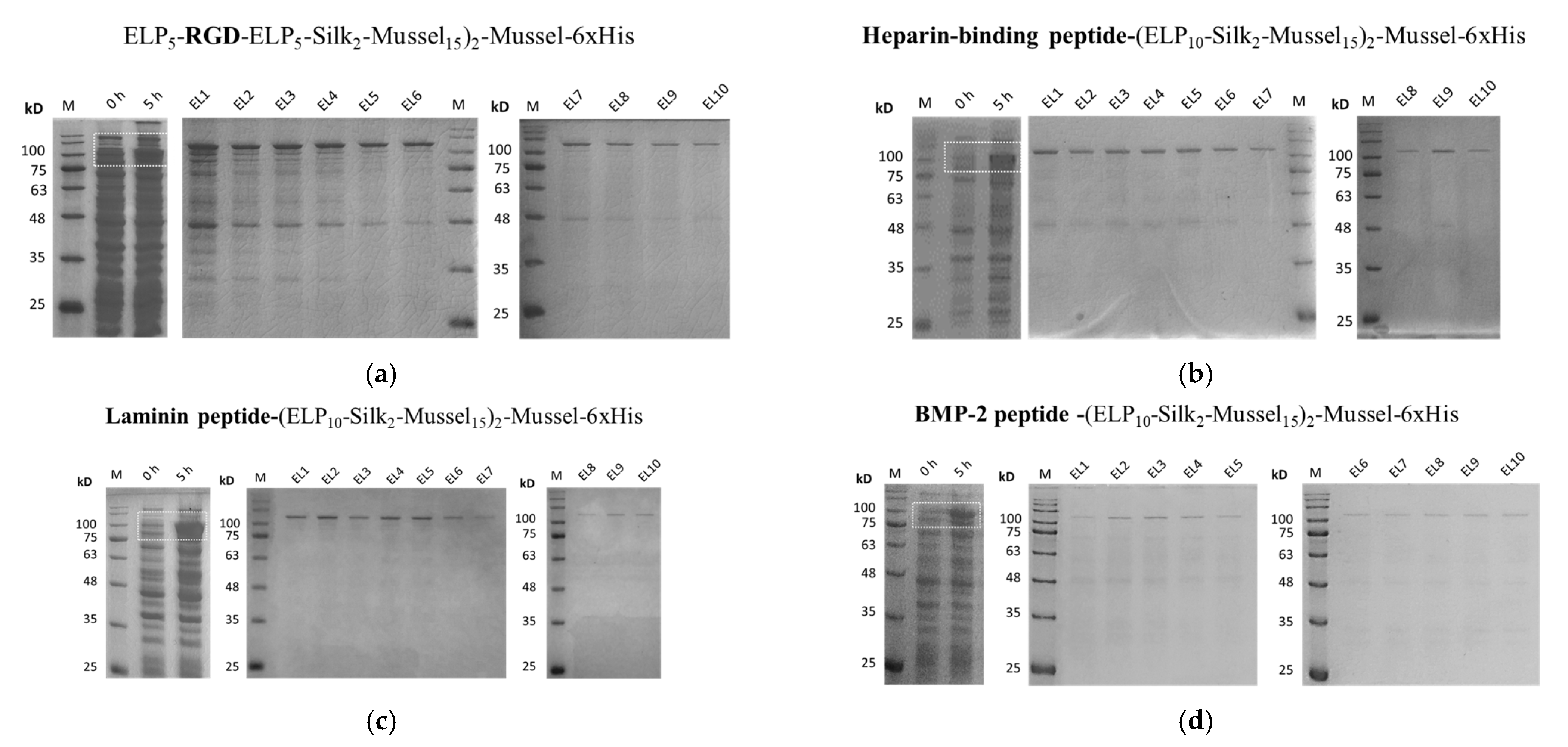 Nanomaterials 13 01236 g002