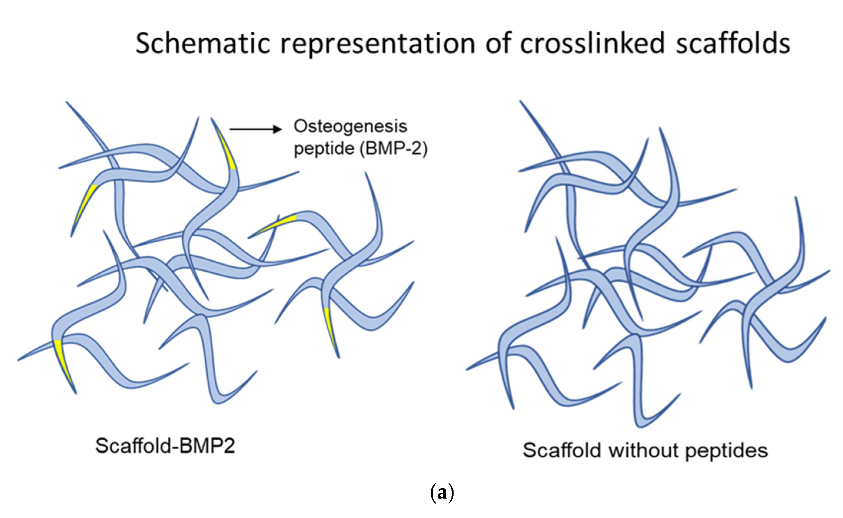 Nanomaterials 13 01236 g003a