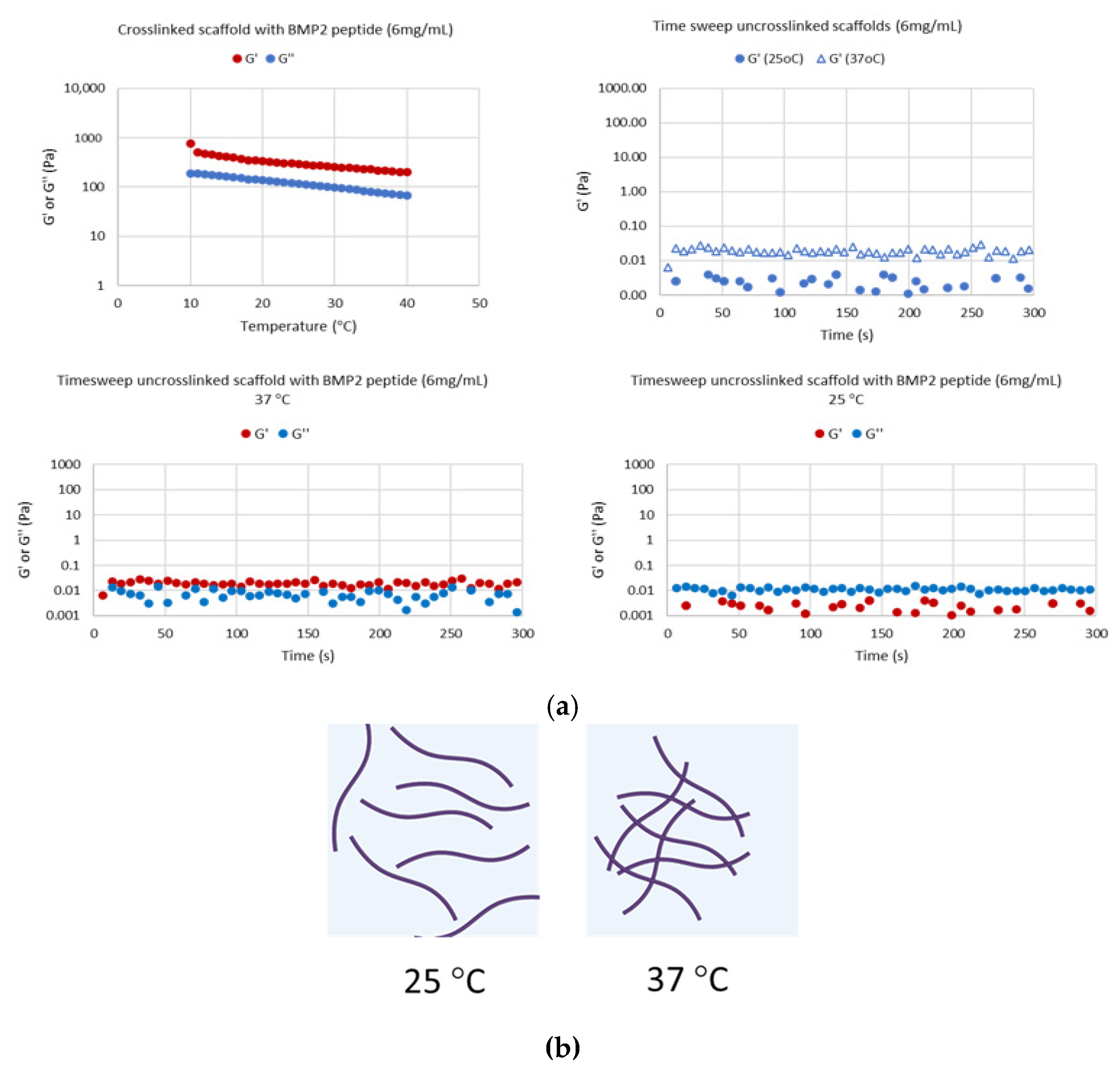 Nanomaterials 13 01236 g006