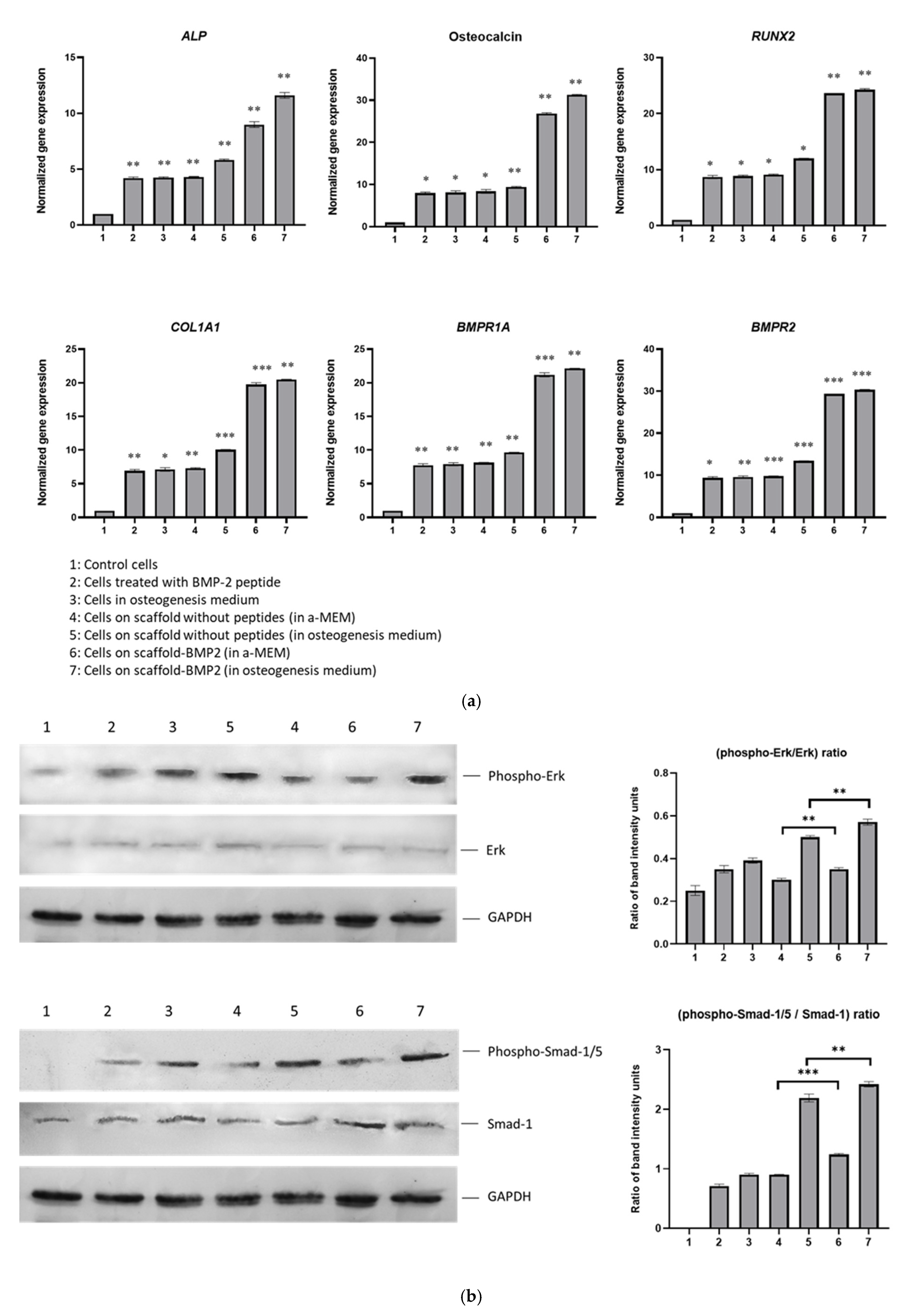 Nanomaterials 13 01236 g009