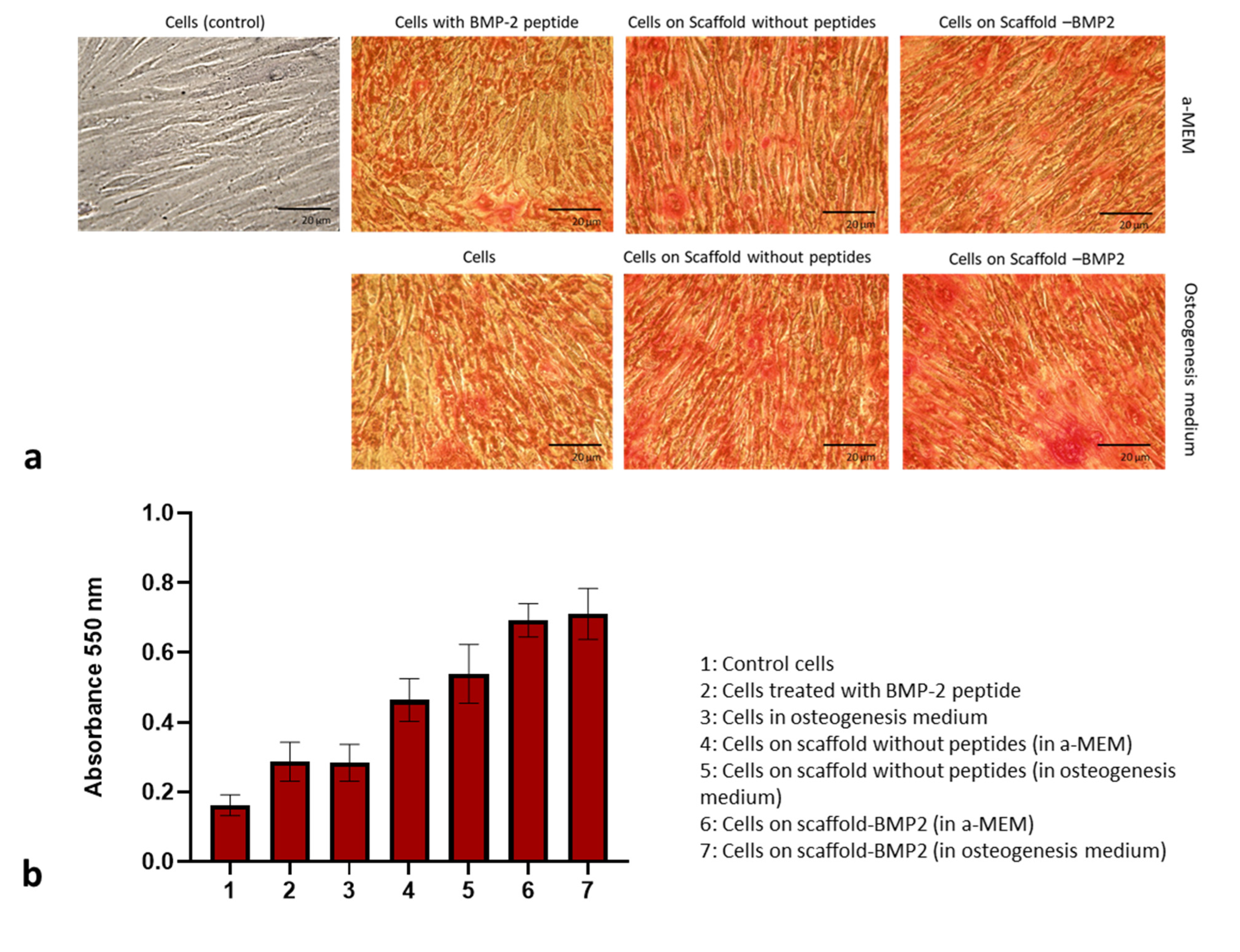 Nanomaterials 13 01236 g010