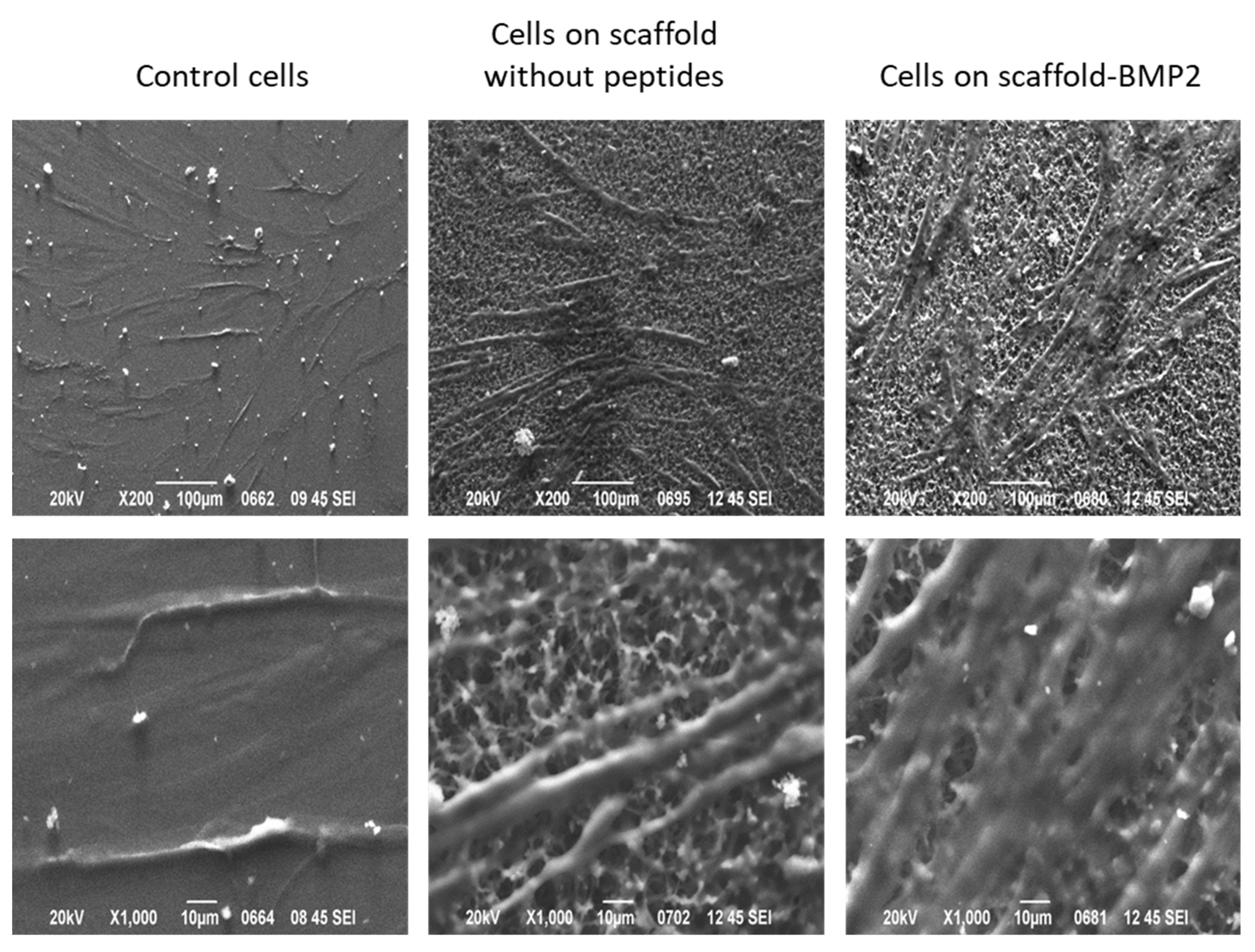 Nanomaterials 13 01236 g011