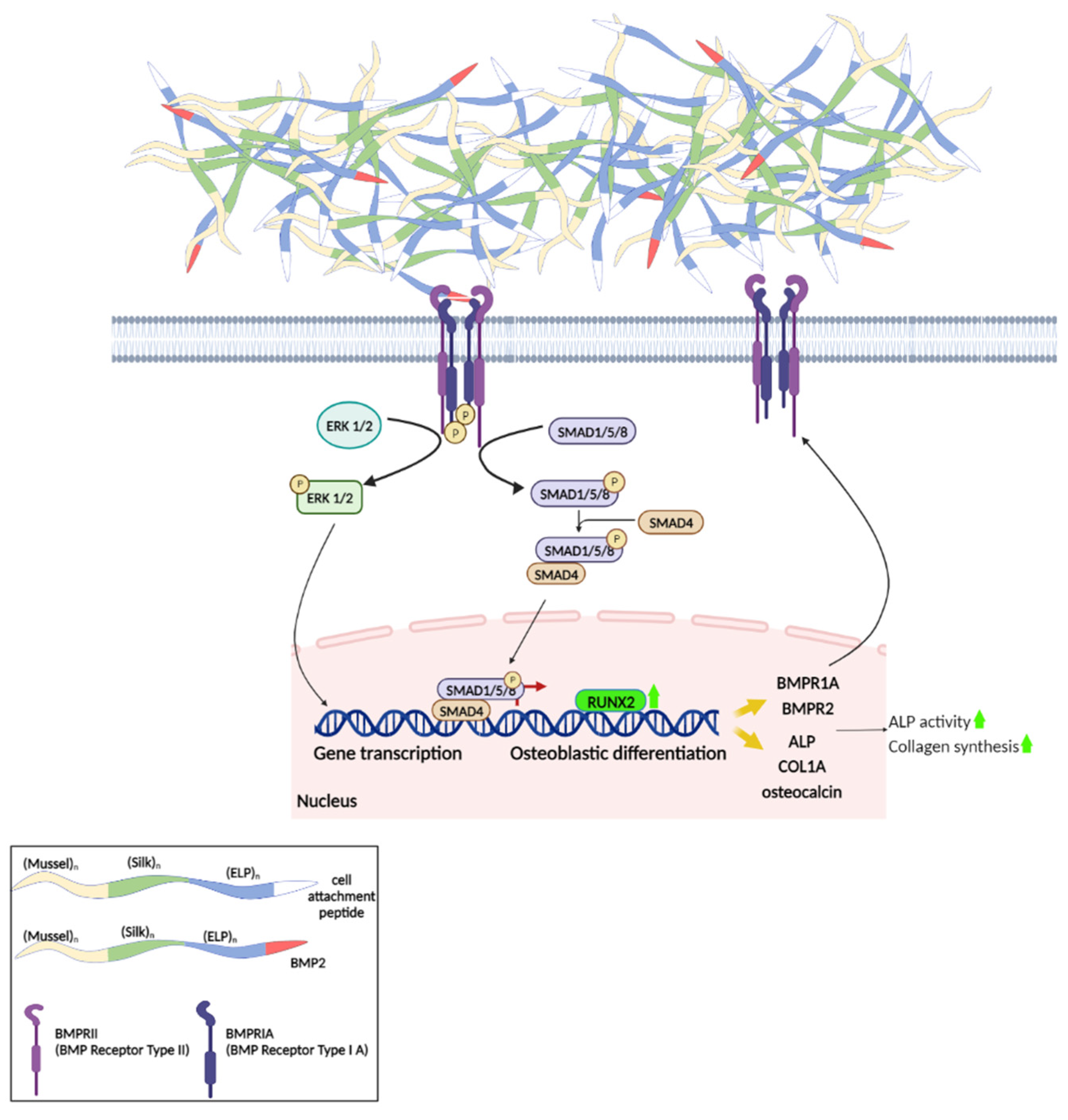 Nanomaterials 13 01236 sch002