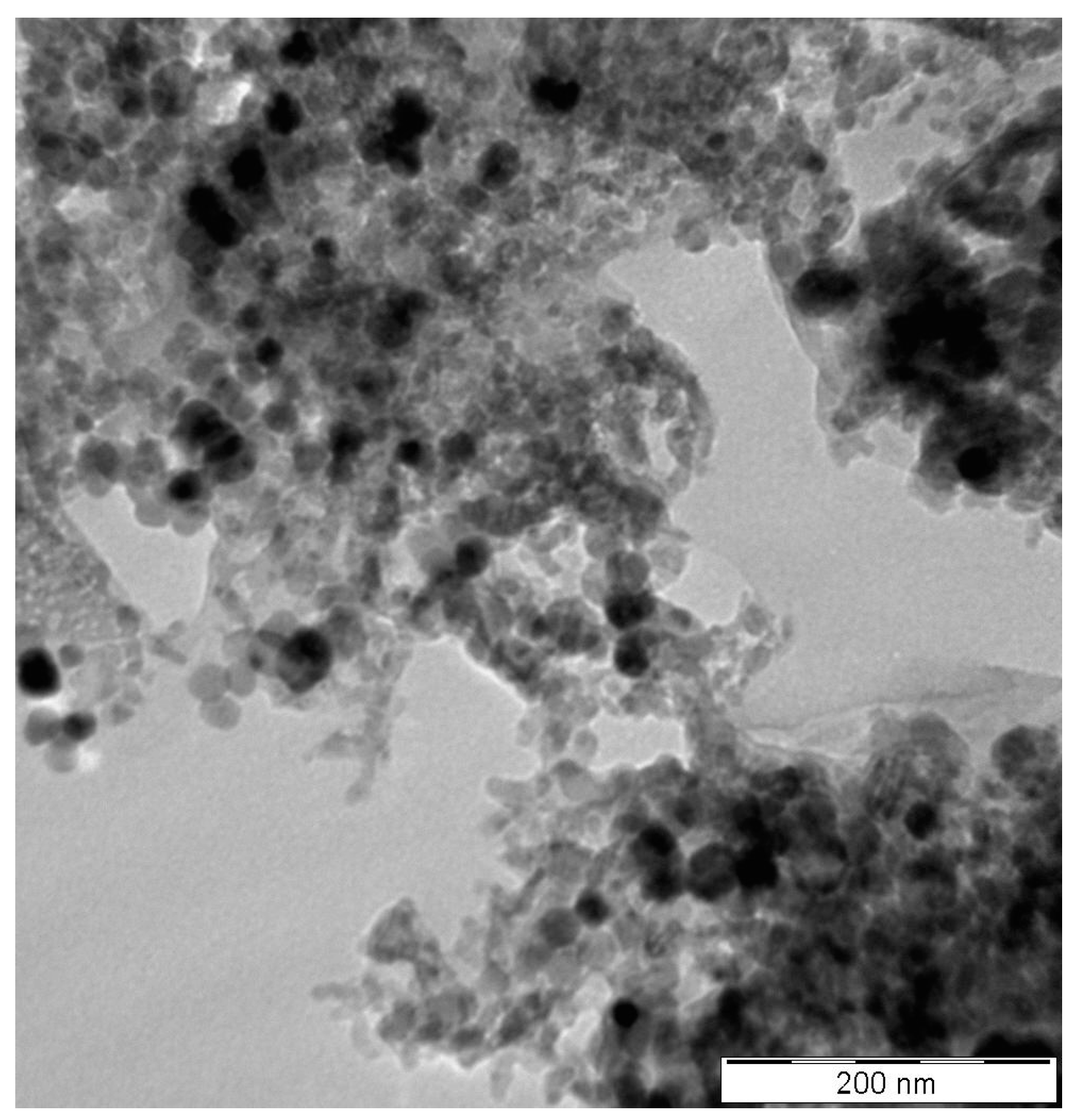 Nanomaterials 13 01238 g002