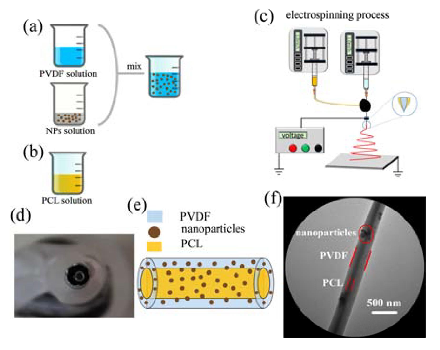 Nanomaterials 13 01243 g001