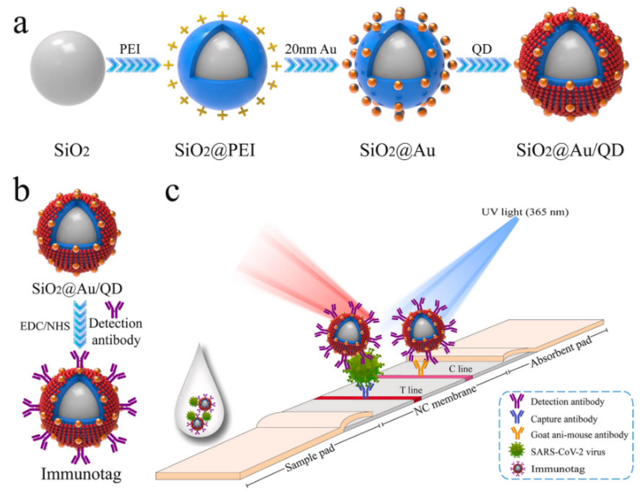 Nanomaterials 13 01247 g004