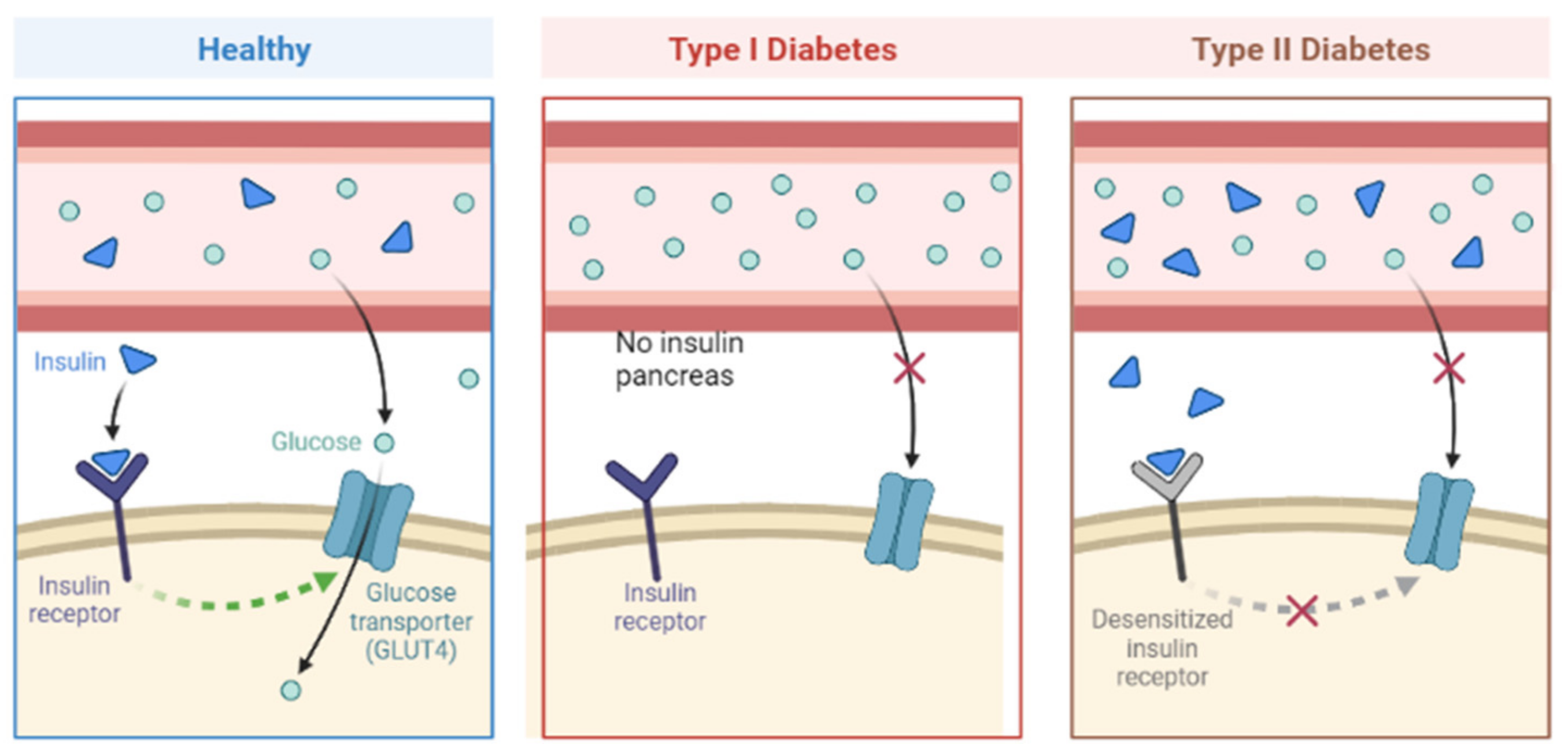 Nanomaterials 13 01247 g005