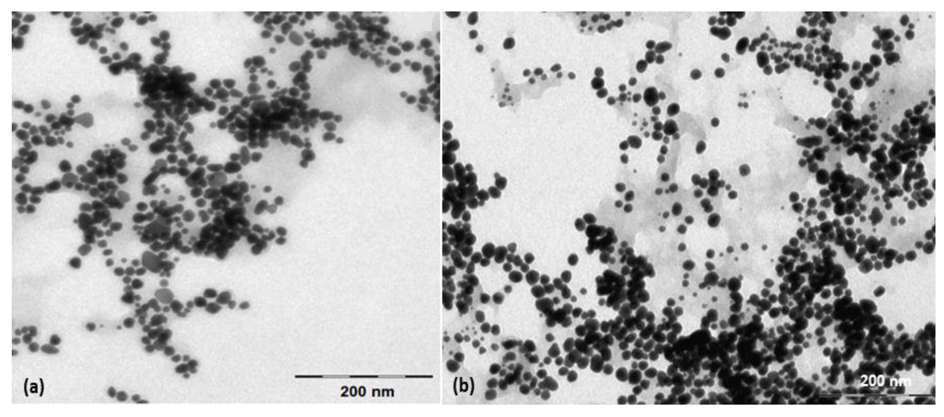 Nanomaterials 13 01251 g002 Nanomaterials 13 01251 g002