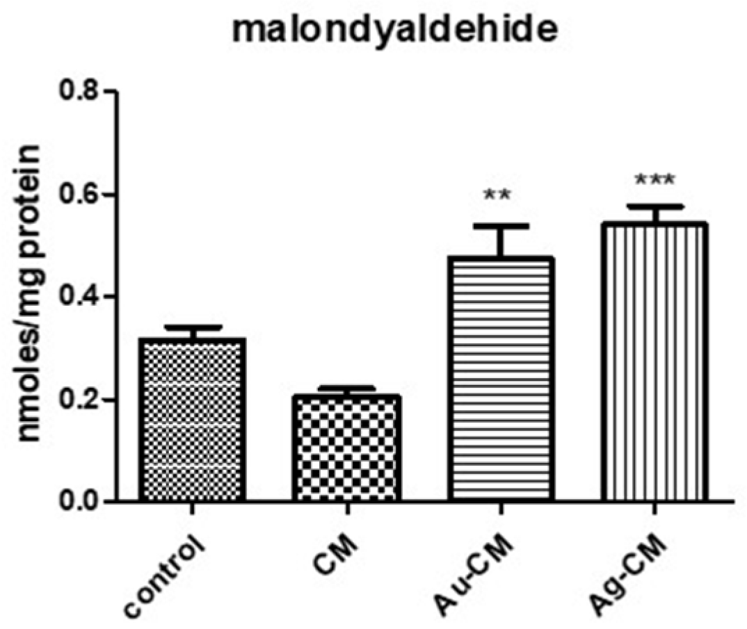 Nanomaterials 13 01251 g012 Nanomaterials 13 01251 g012