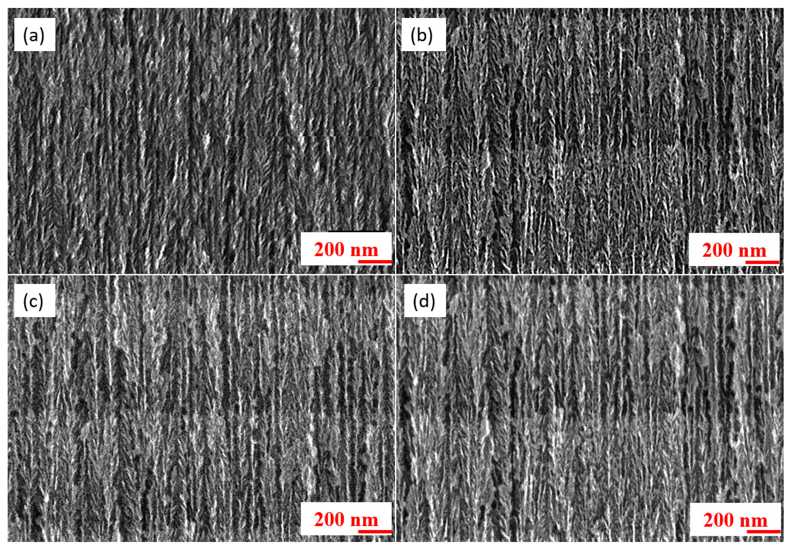 Nanomaterials 13 01254 g003
