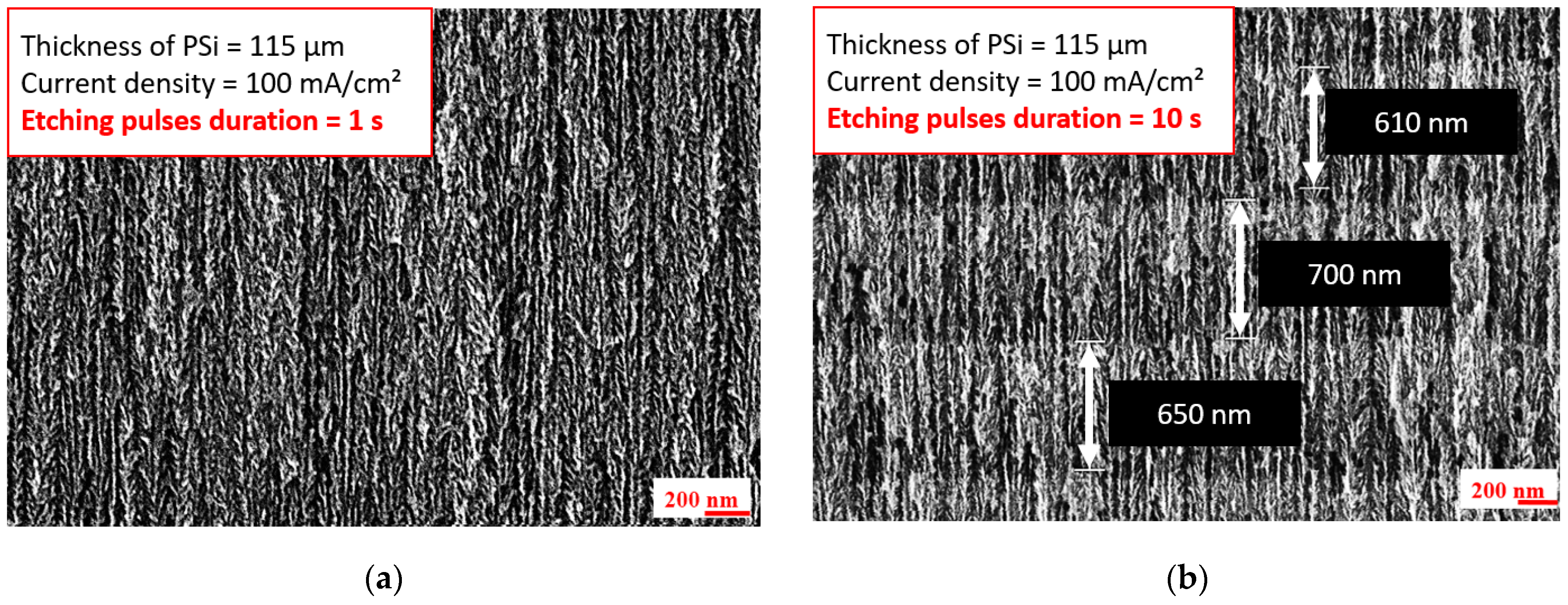 Nanomaterials 13 01254 g004