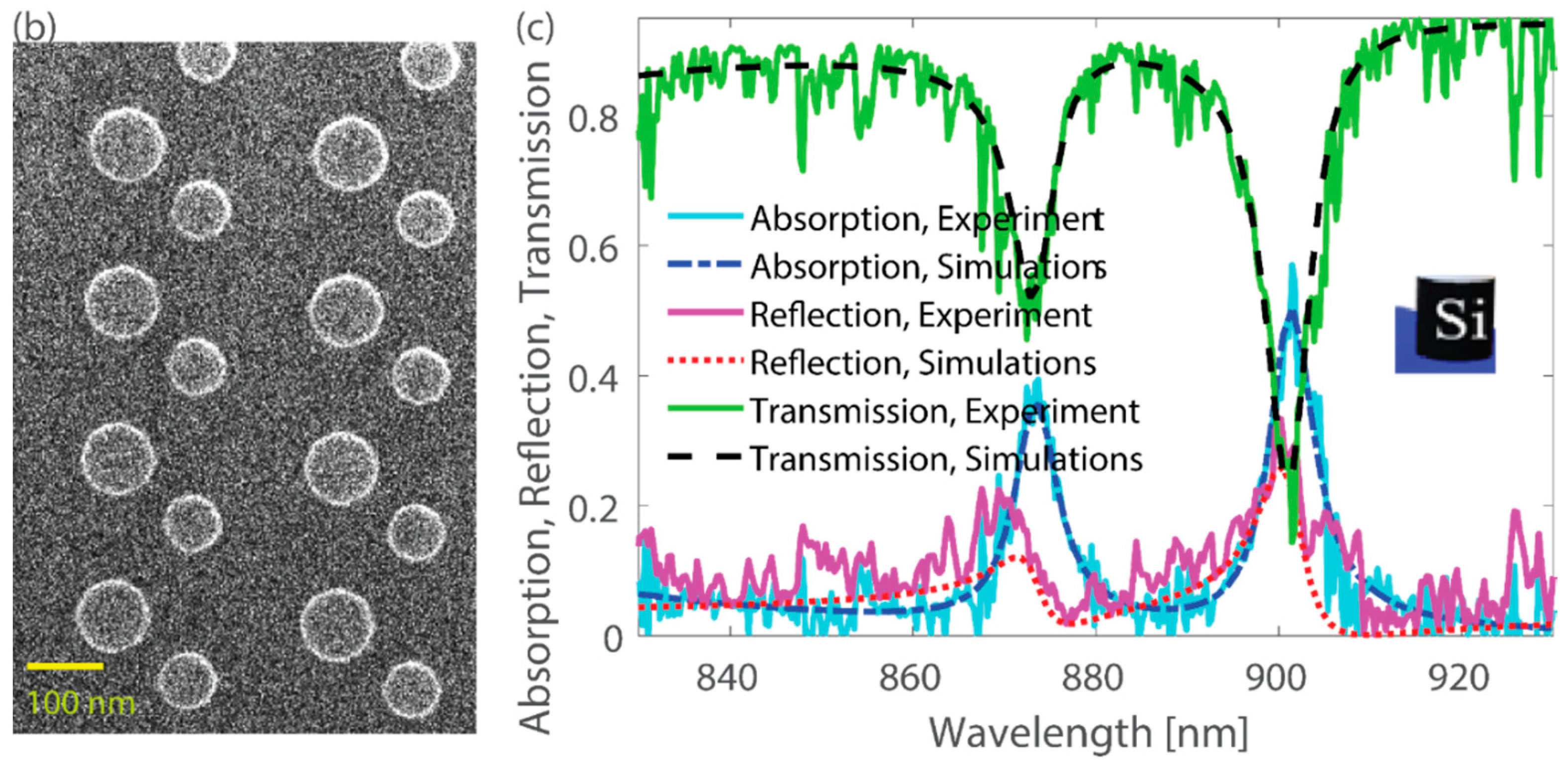 Nanomaterials 13 01261 g003b