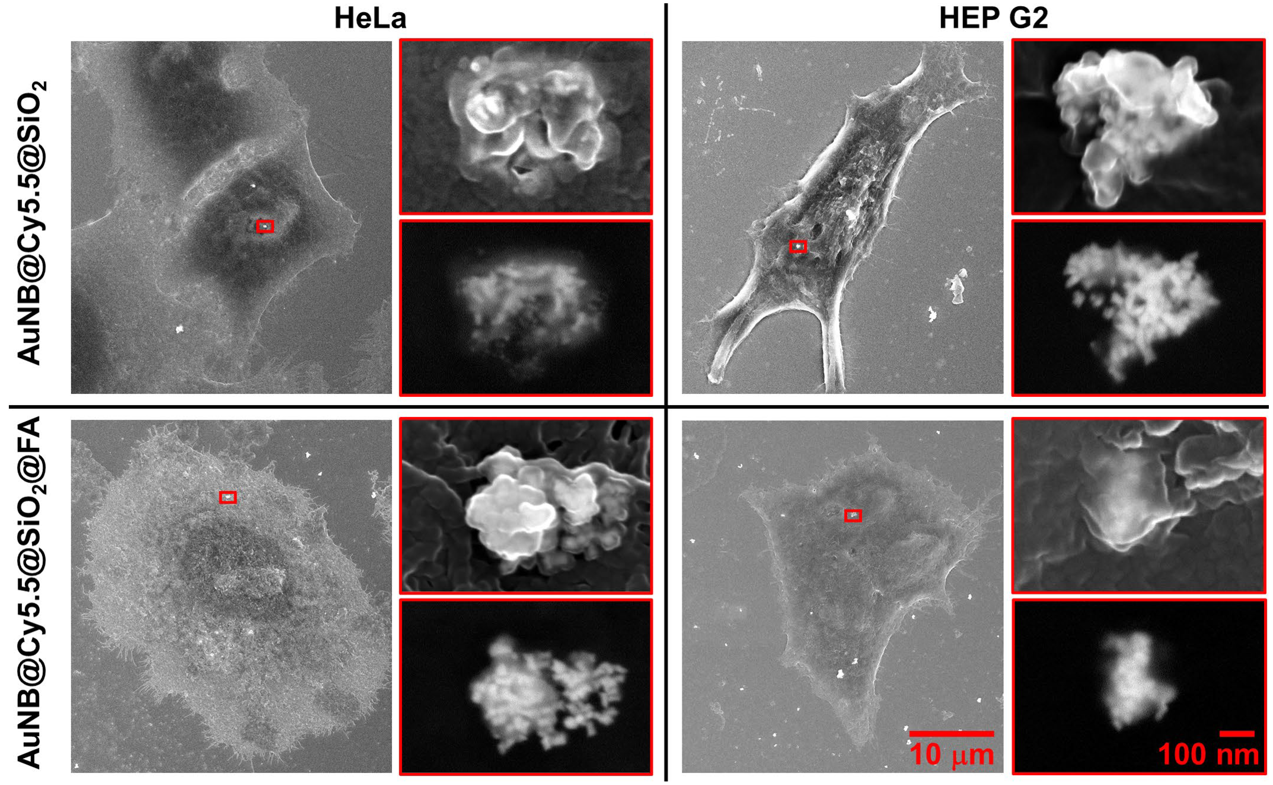 Nanomaterials 13 01267 g004 Nanomaterials 13 01267 g004
