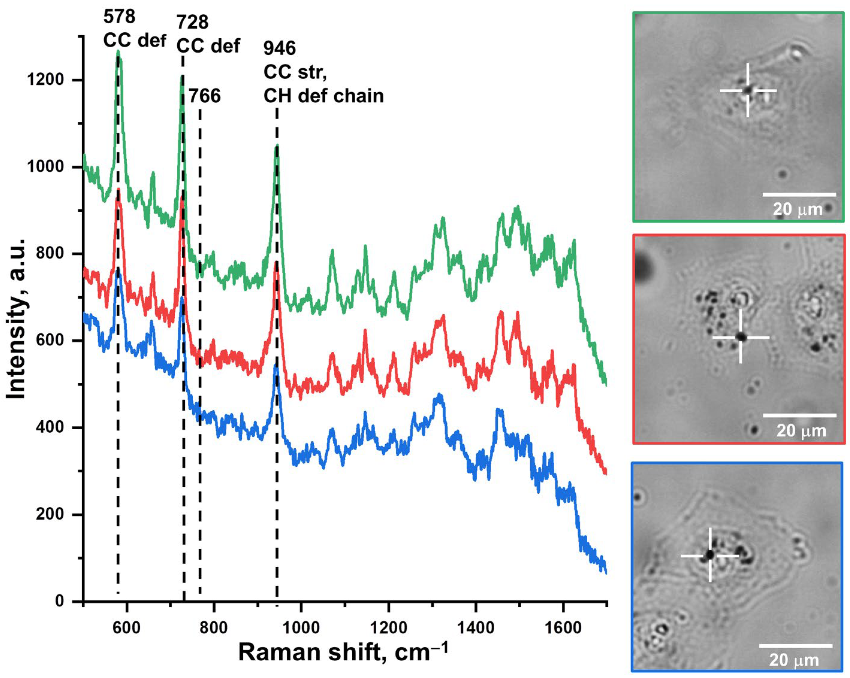 Nanomaterials 13 01267 g006 Nanomaterials 13 01267 g006
