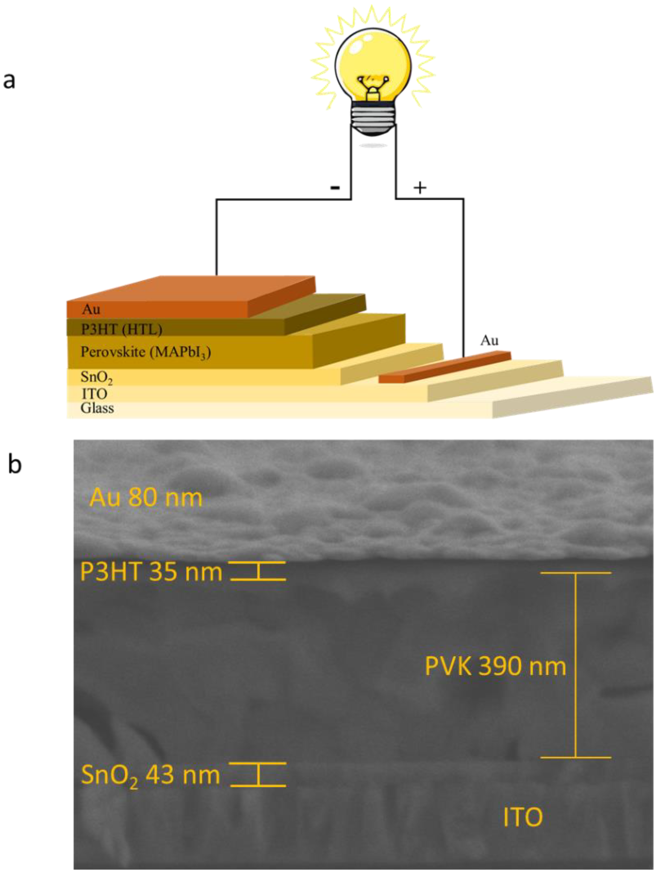 Nanomaterials 13 01281 g001a Nanomaterials 13 01281 g001a