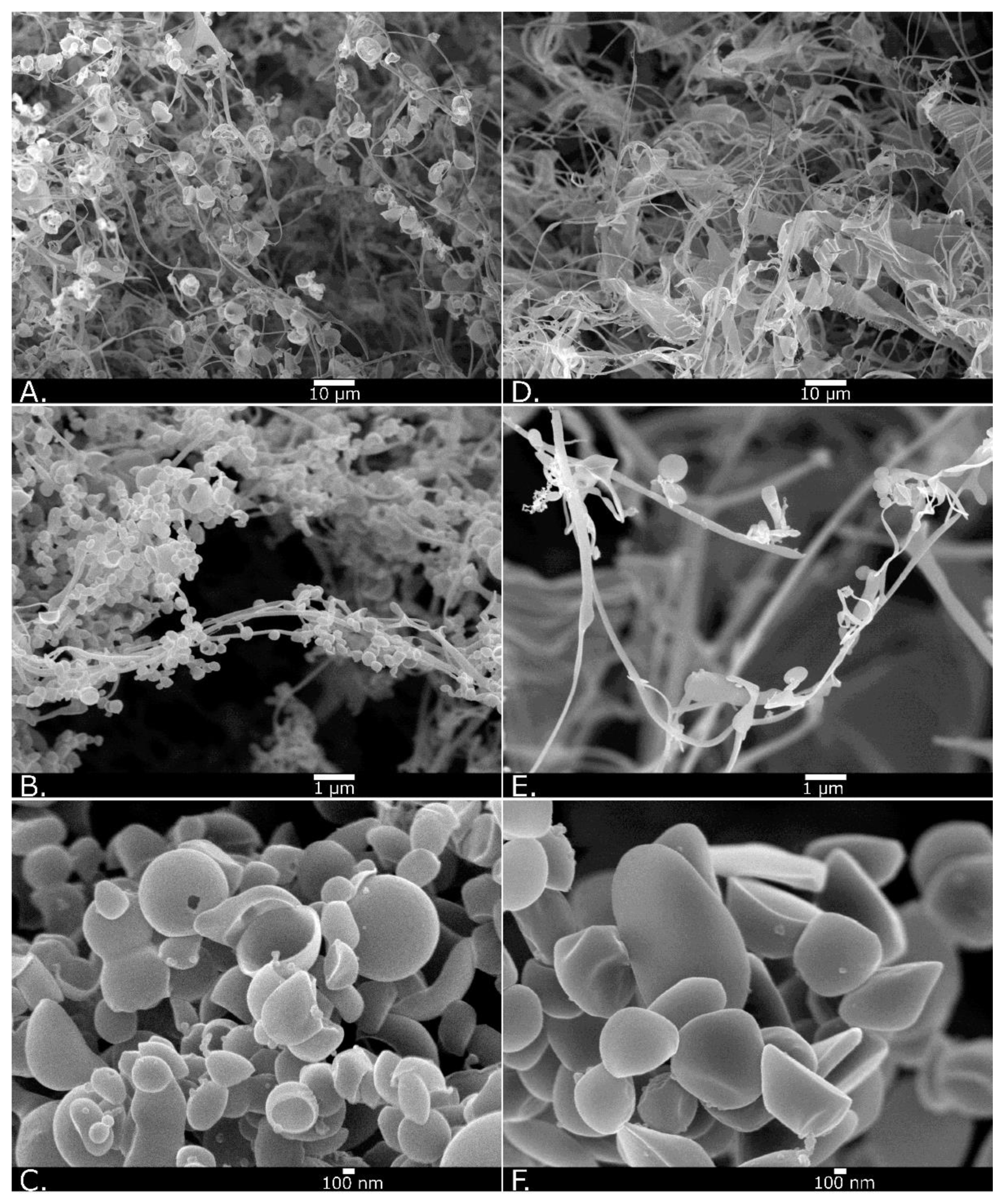 Nanomaterials 13 01283 g004 Nanomaterials 13 01283 g004