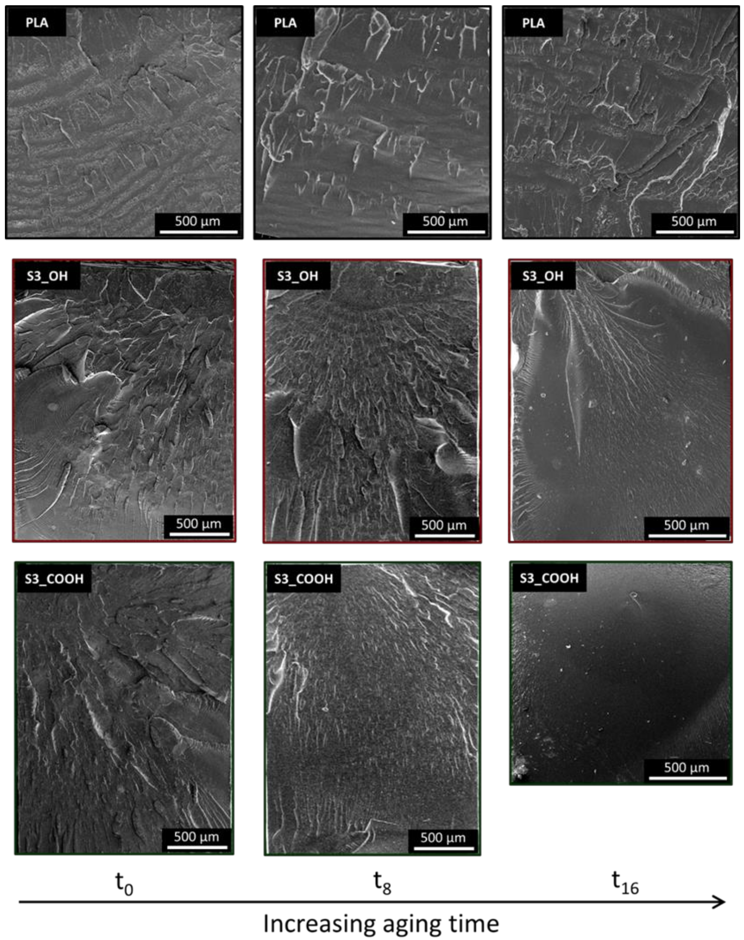 Nanomaterials 13 01284 g006 Nanomaterials 13 01284 g006