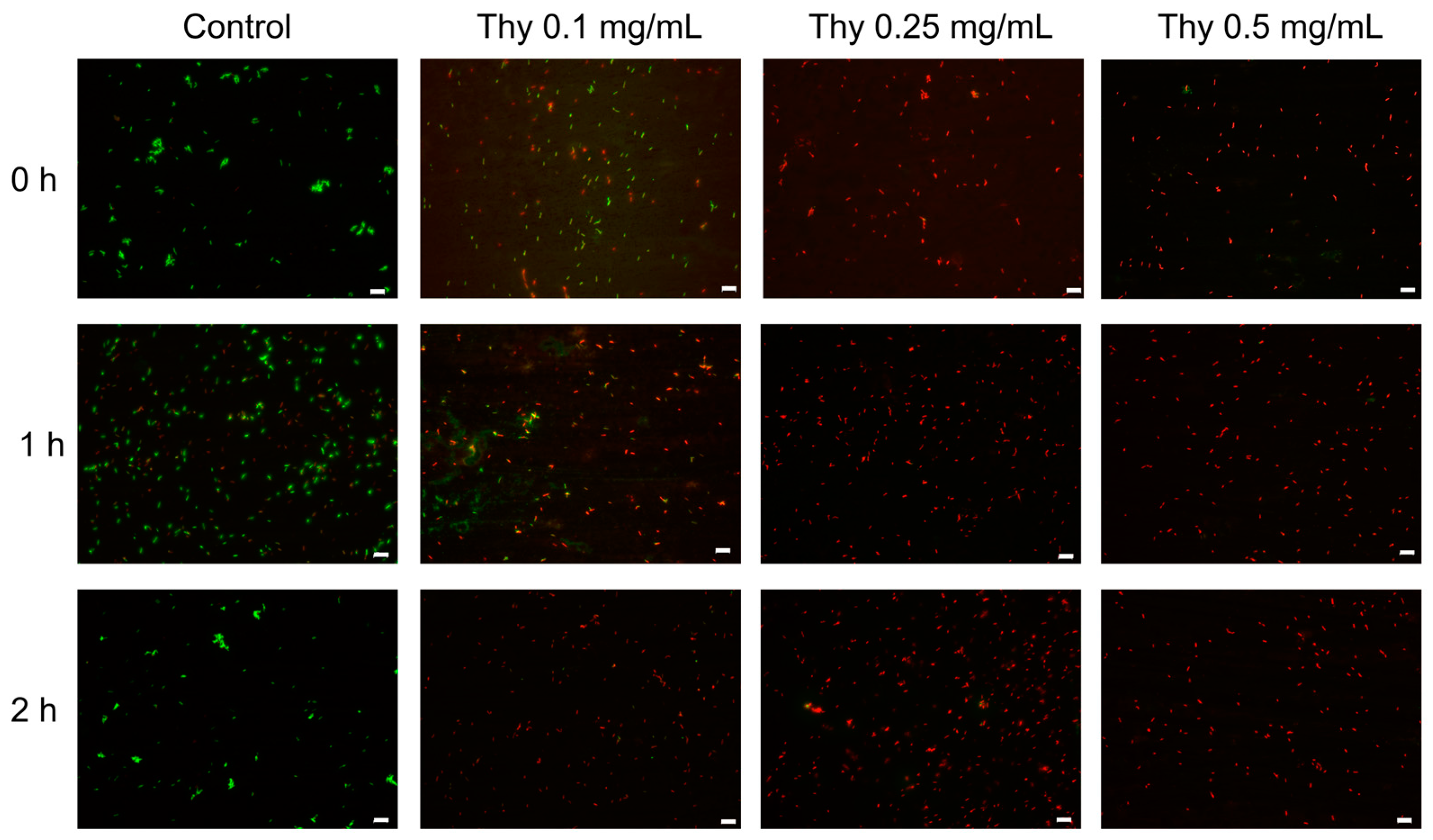 Nanomaterials 13 01285 g003 Nanomaterials 13 01285 g003