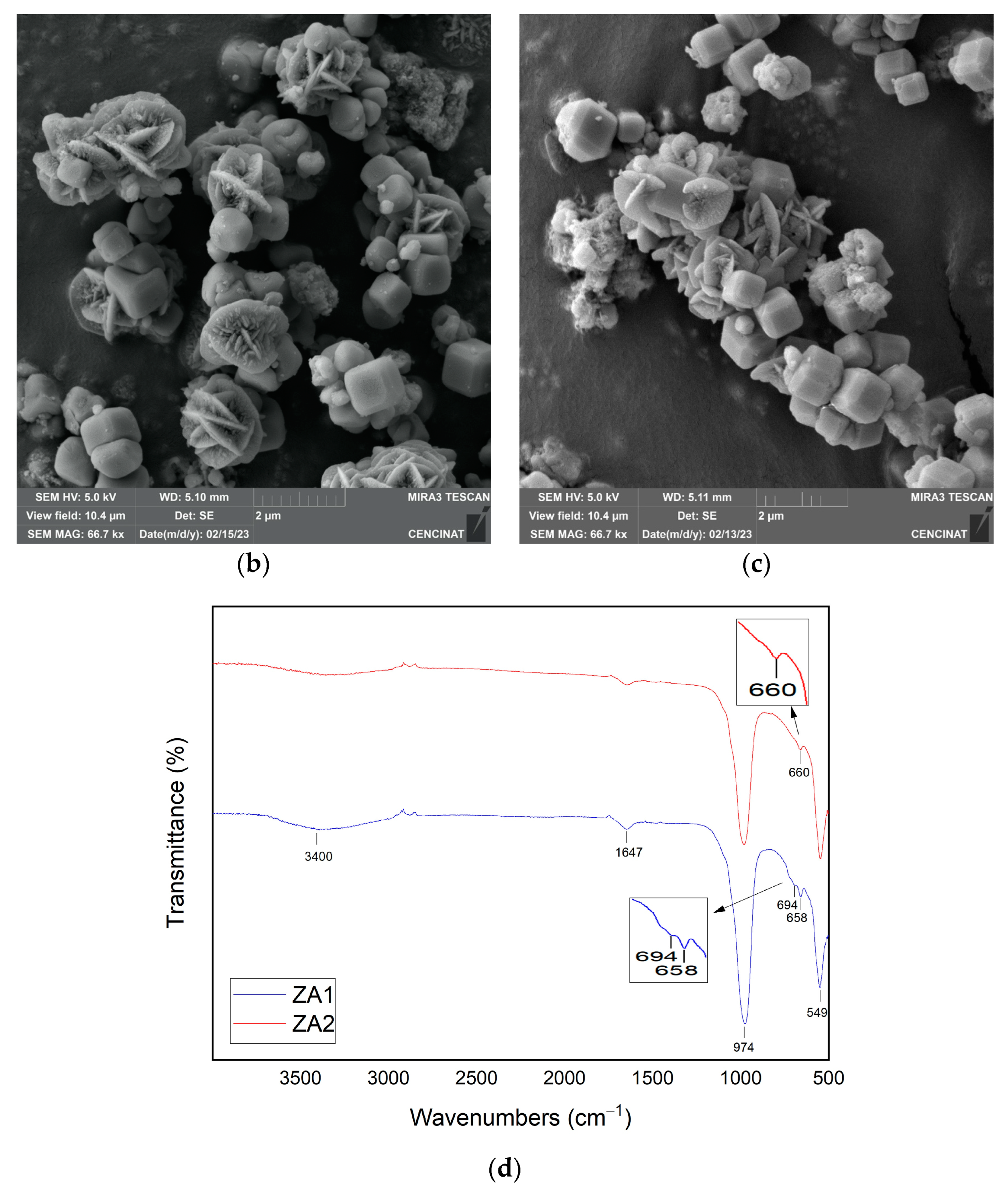 Nanomaterials 13 01295 g002b