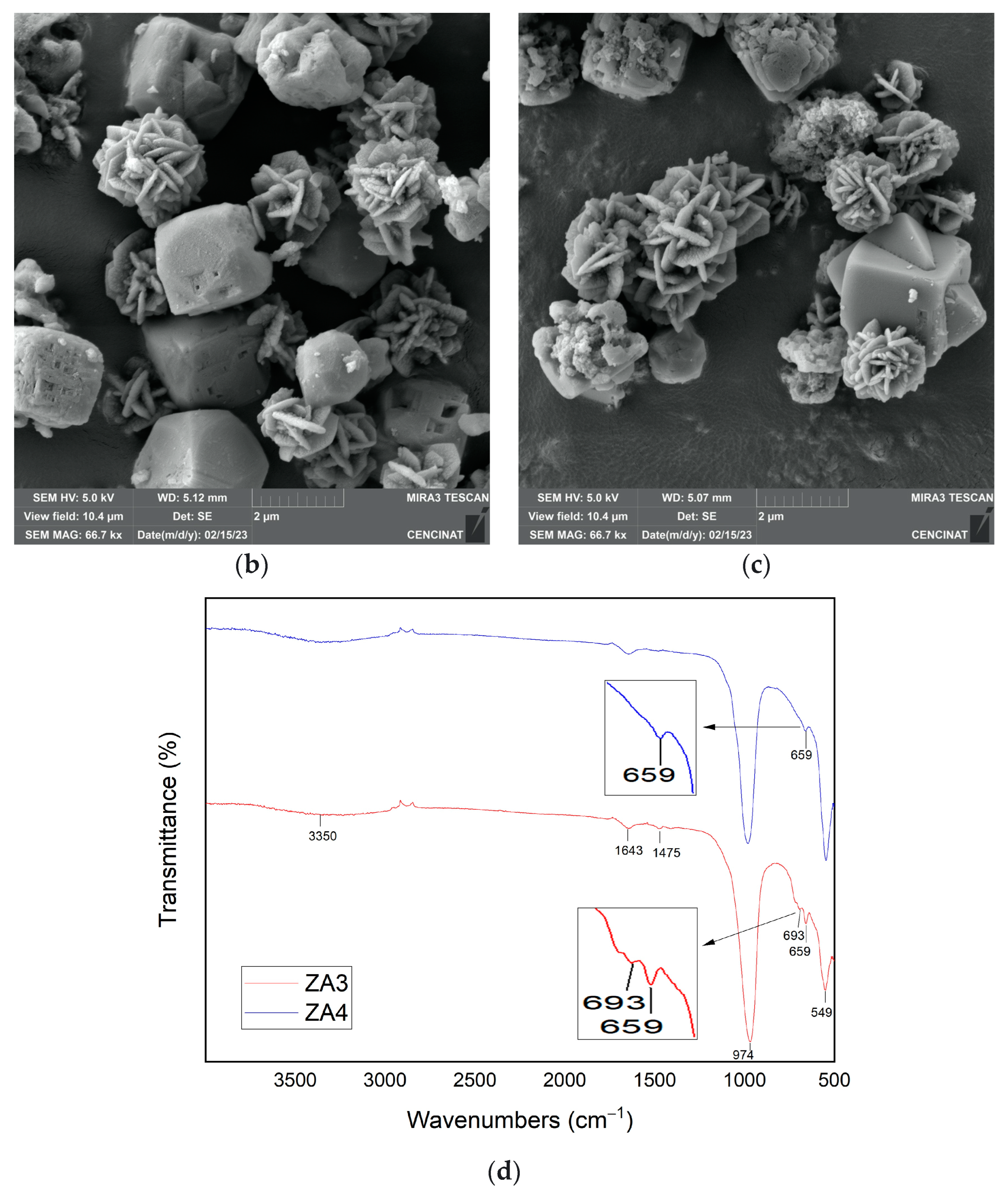 Nanomaterials 13 01295 g003b