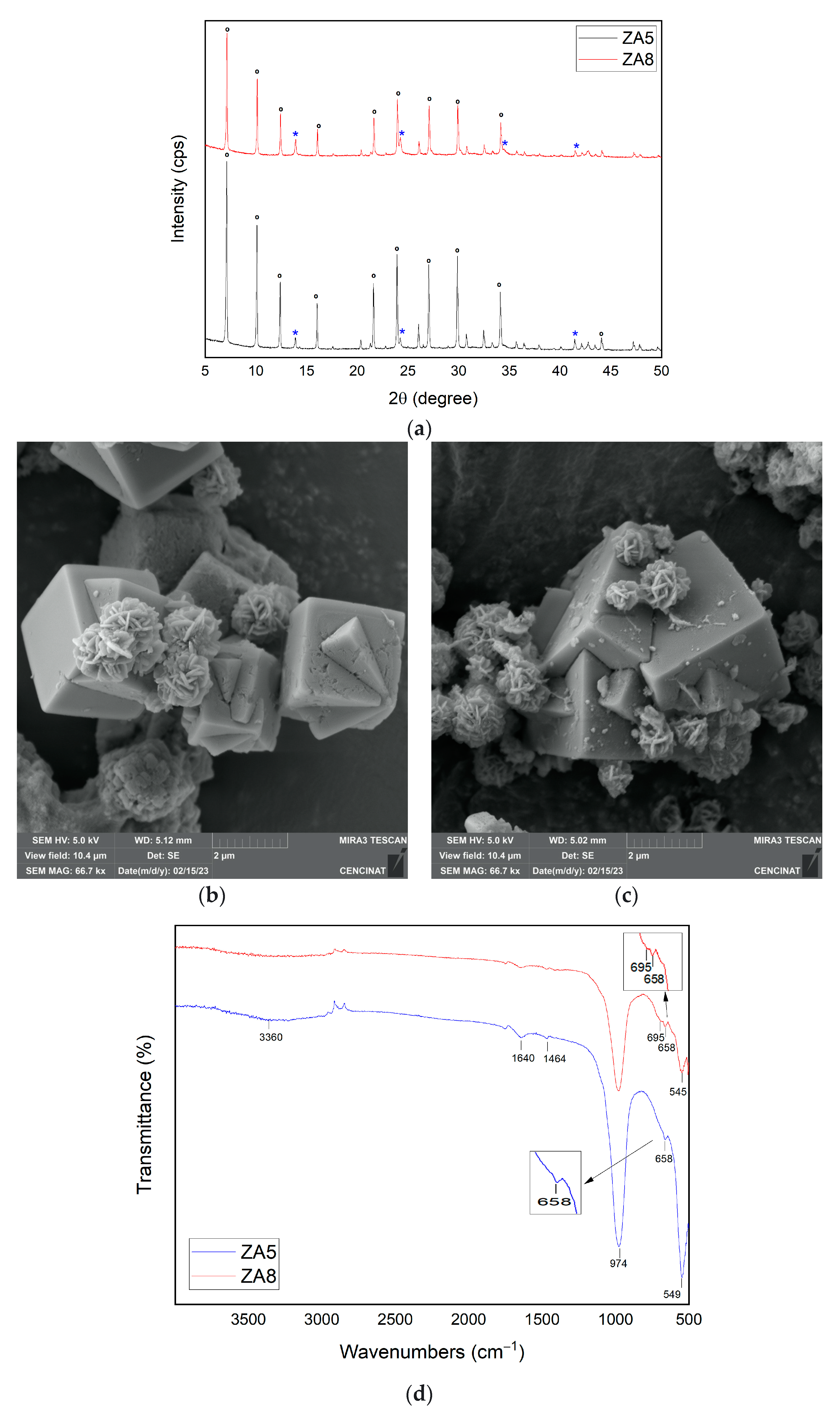 Nanomaterials 13 01295 g005
