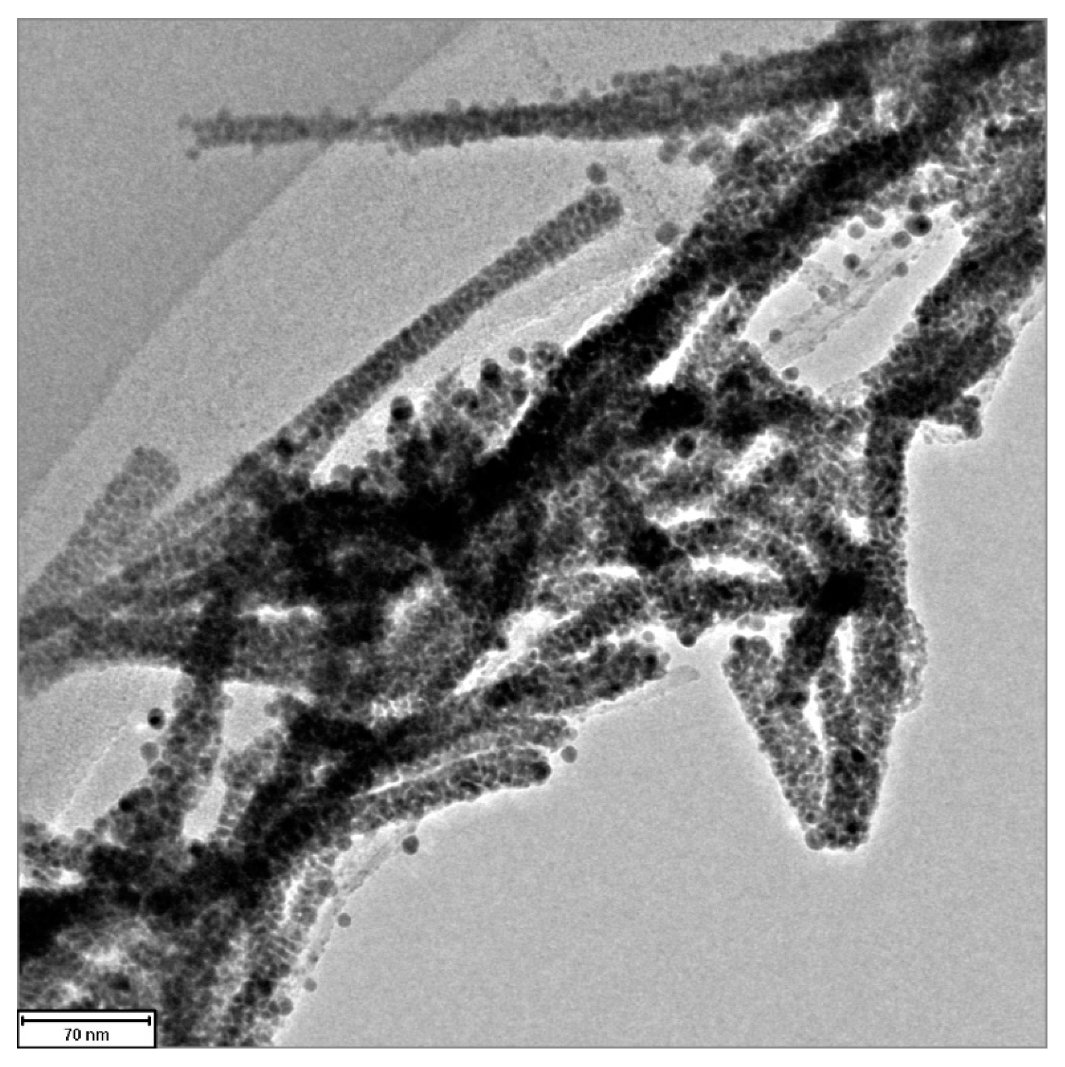 Nanomaterials 13 01297 g004
