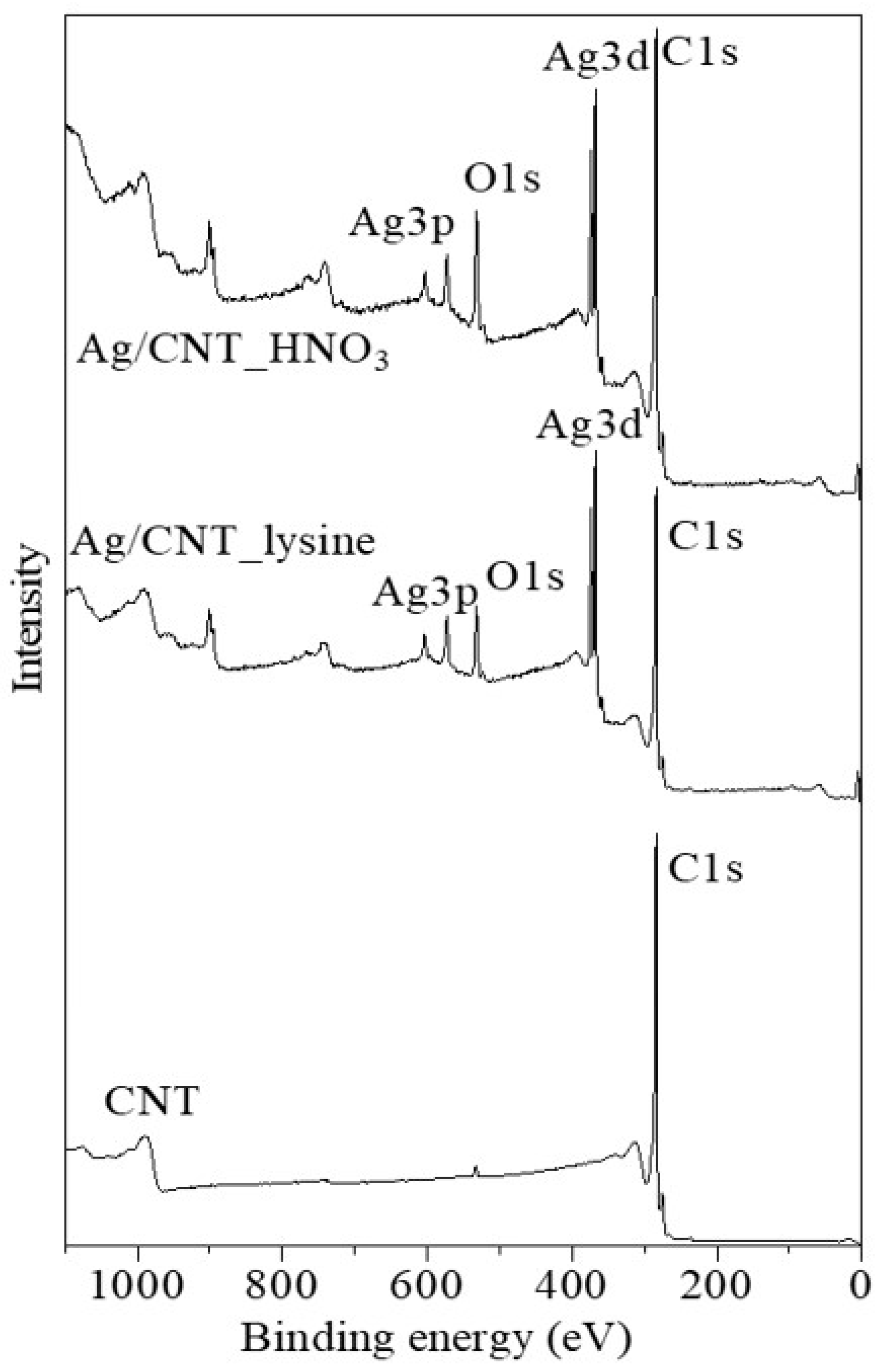 Nanomaterials 13 01297 g005