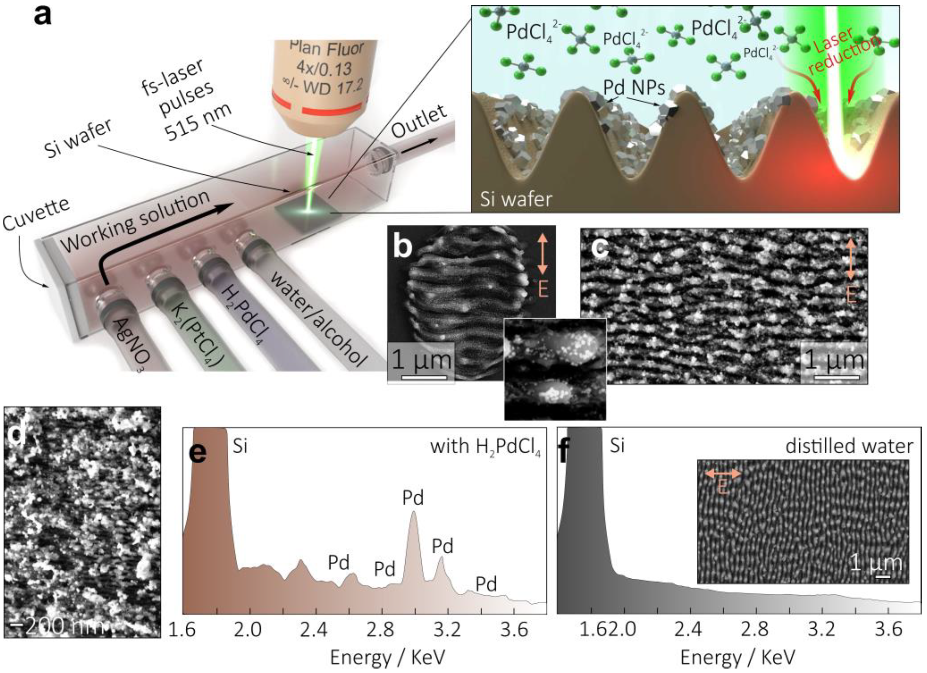 Nanomaterials 13 01300 g001 Nanomaterials 13 01300 g001