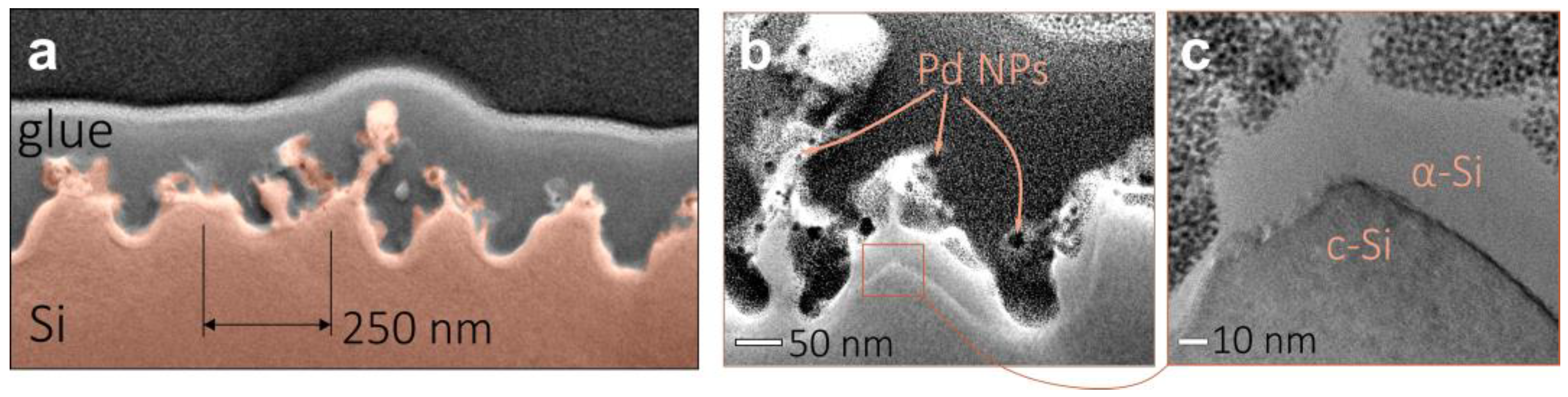 Nanomaterials 13 01300 g002 Nanomaterials 13 01300 g002