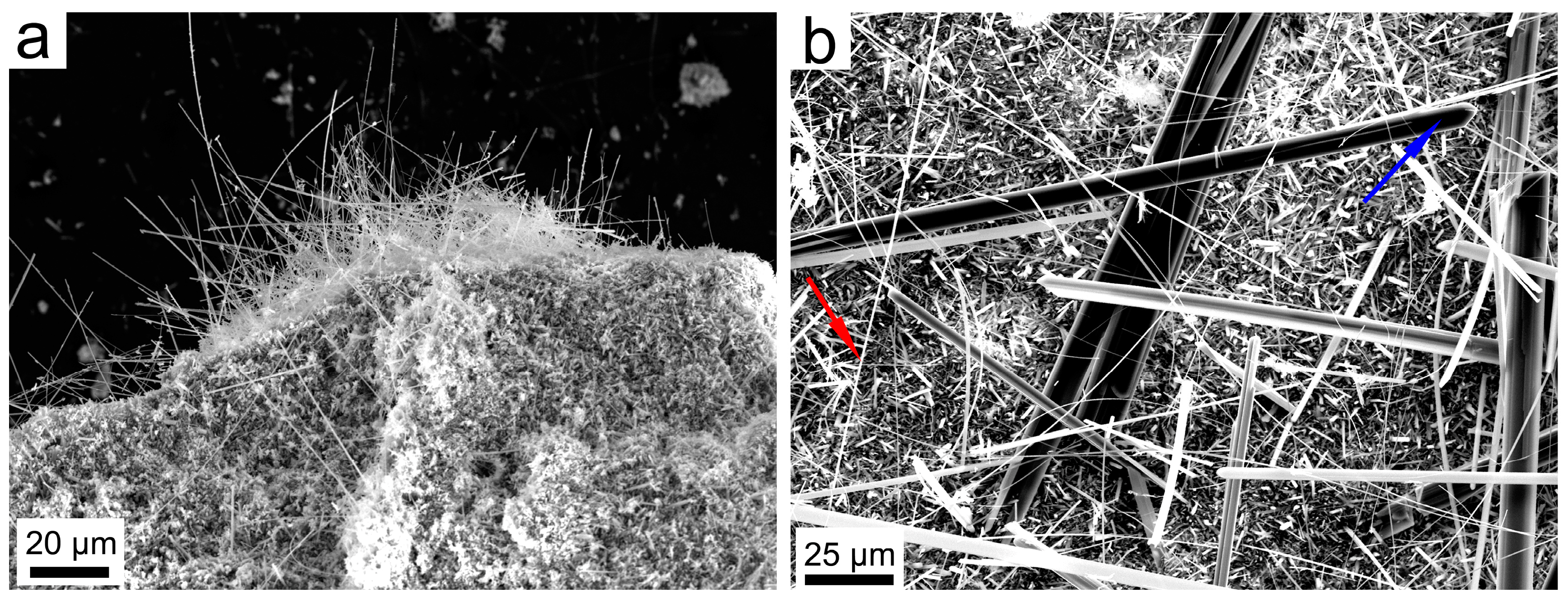 Nanomaterials 13 01303 g005 Nanomaterials 13 01303 g005