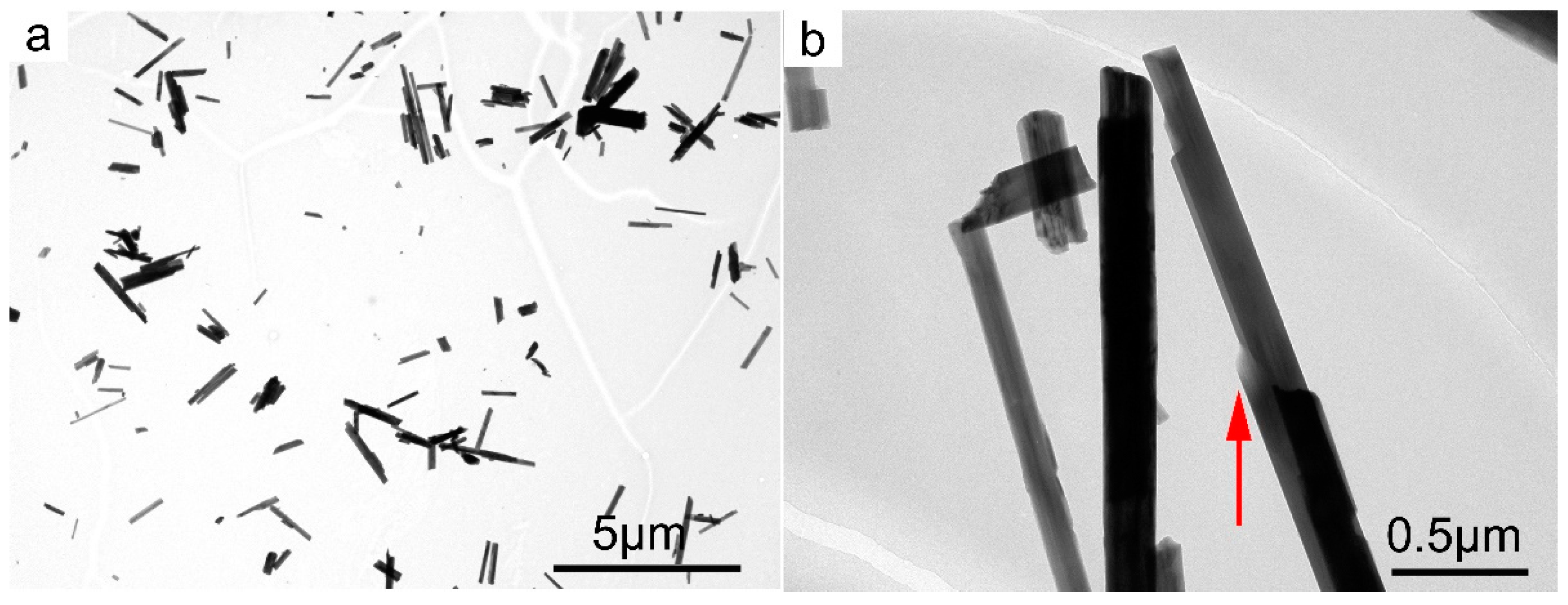 Nanomaterials 13 01303 g007 Nanomaterials 13 01303 g007