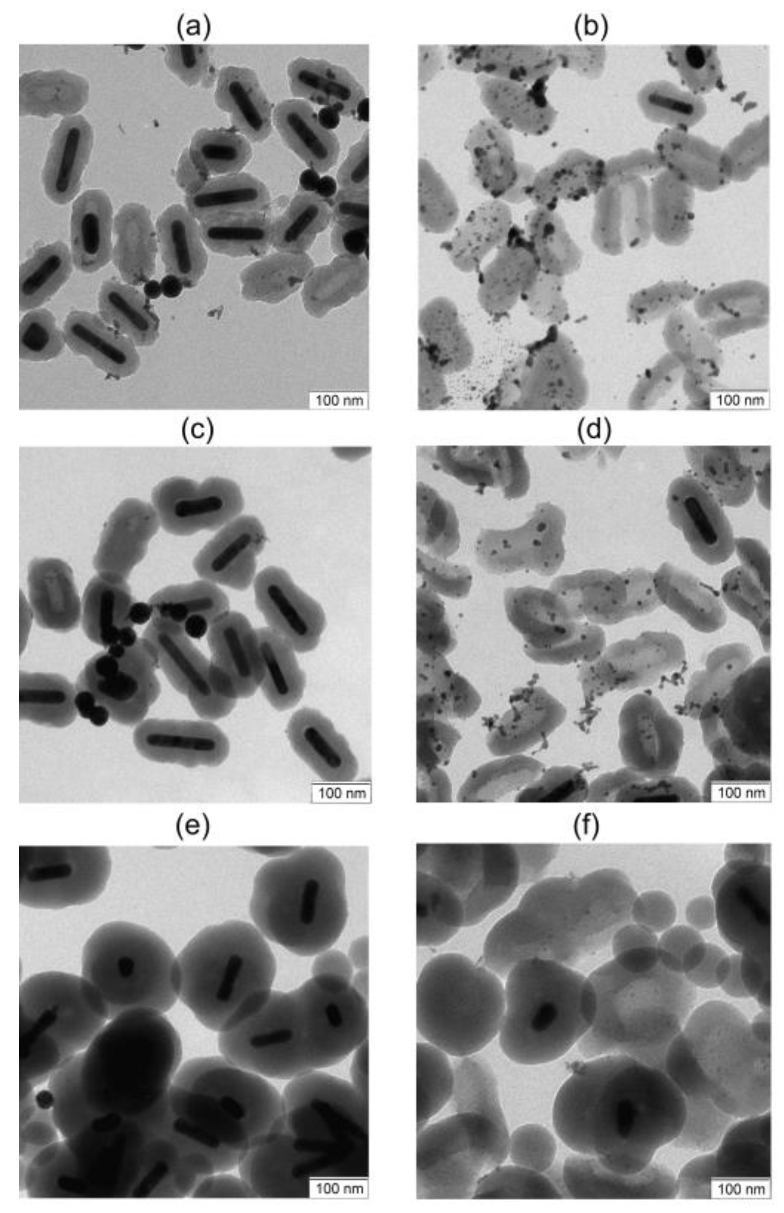 Nanomaterials 13 01312 g008