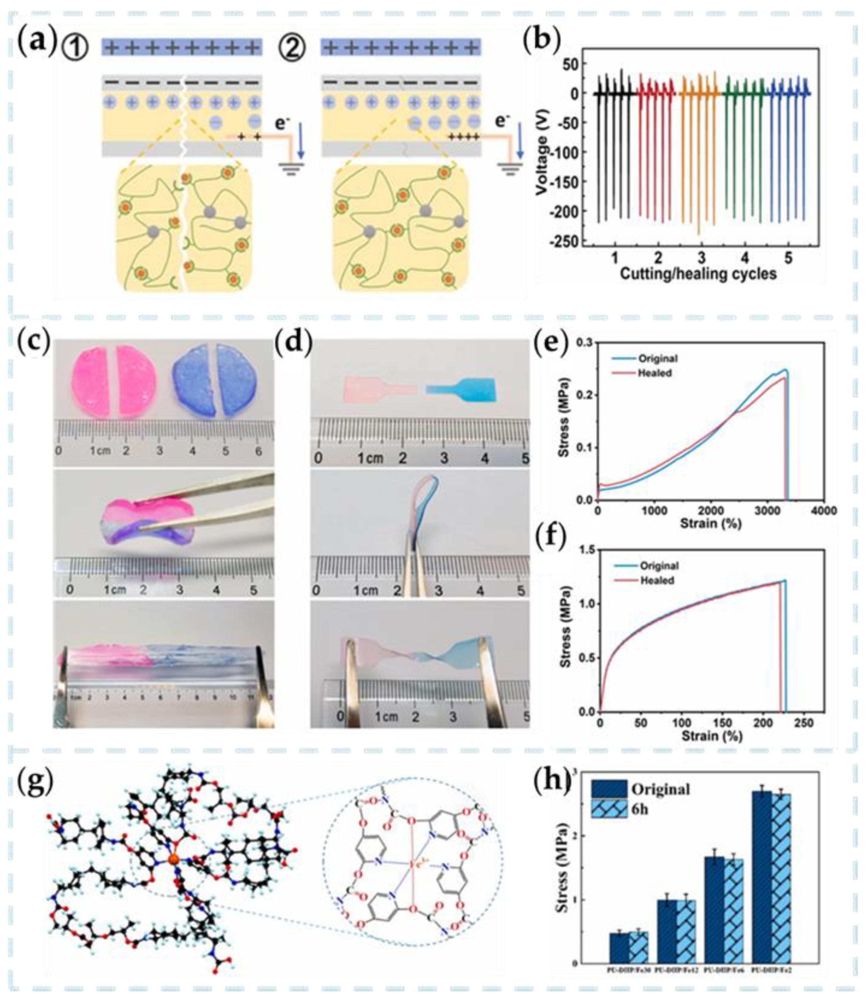 Nanomaterials 13 01316 g008