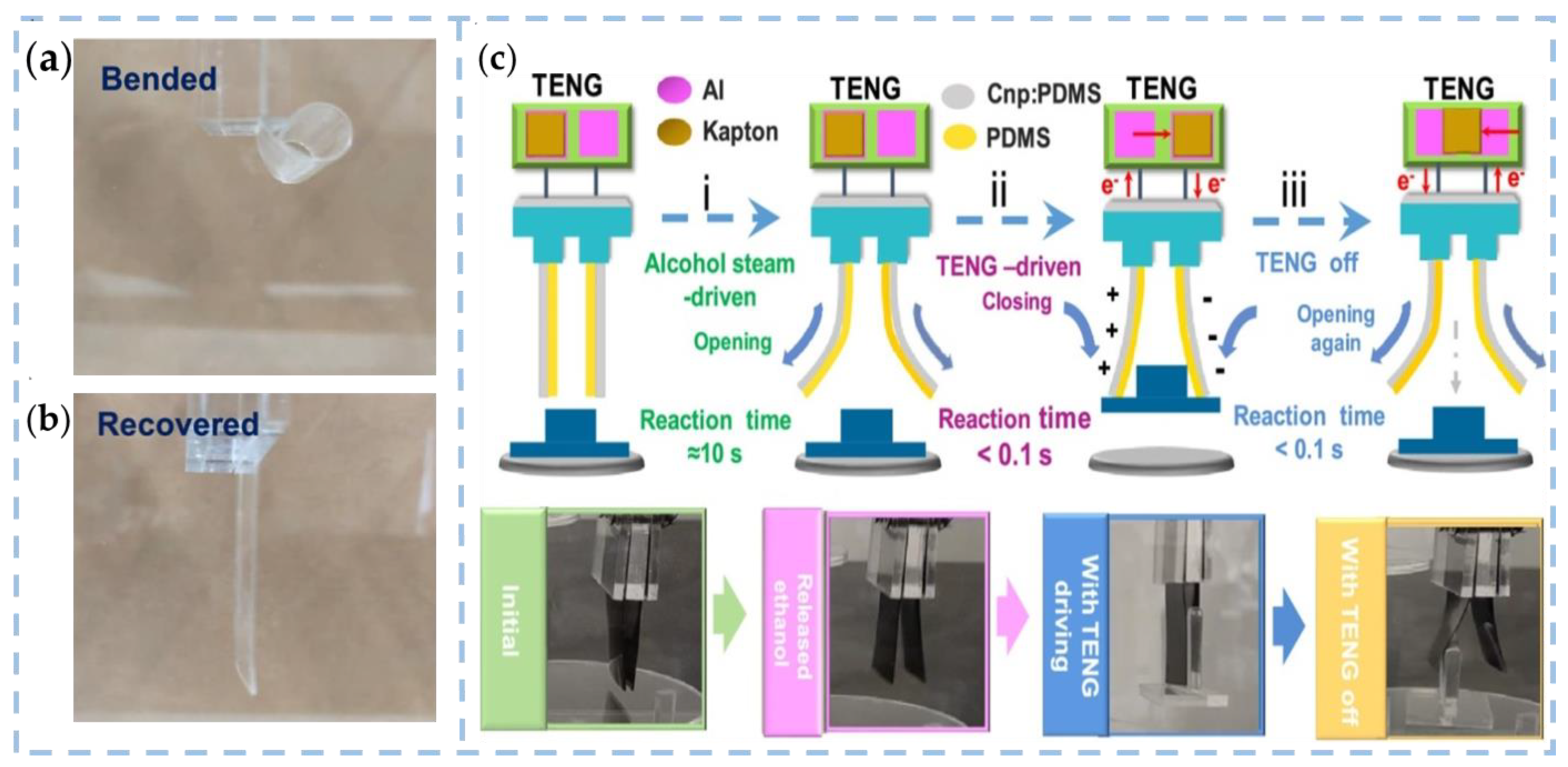 Nanomaterials 13 01316 g010