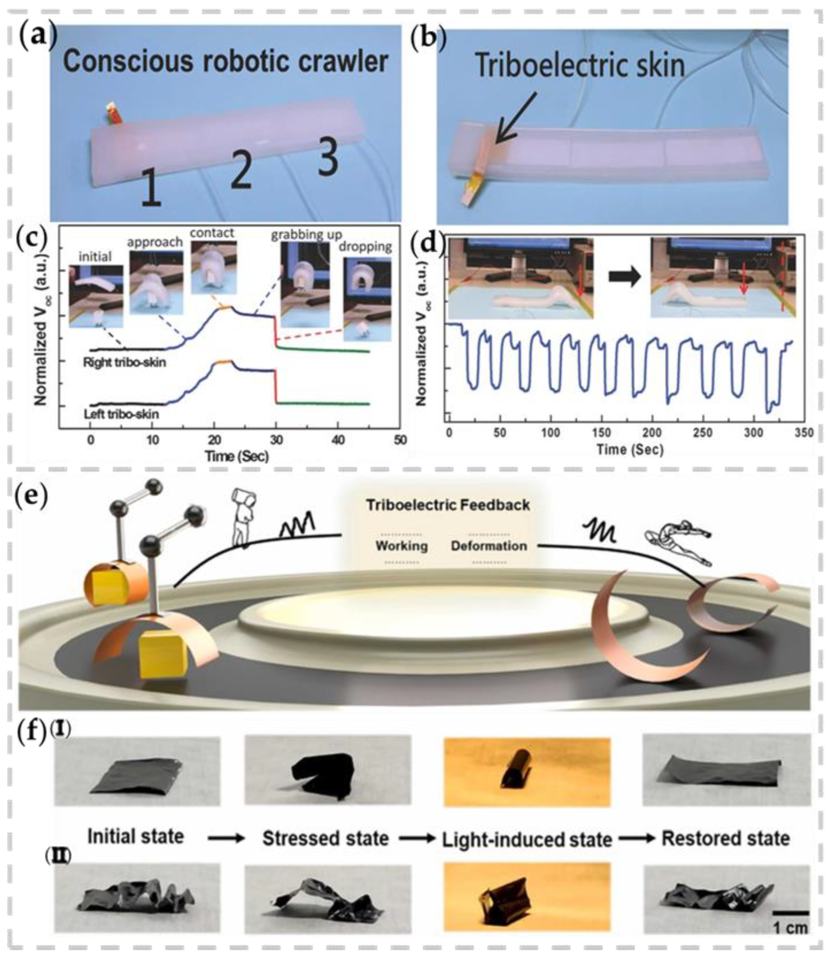 Nanomaterials 13 01316 g013