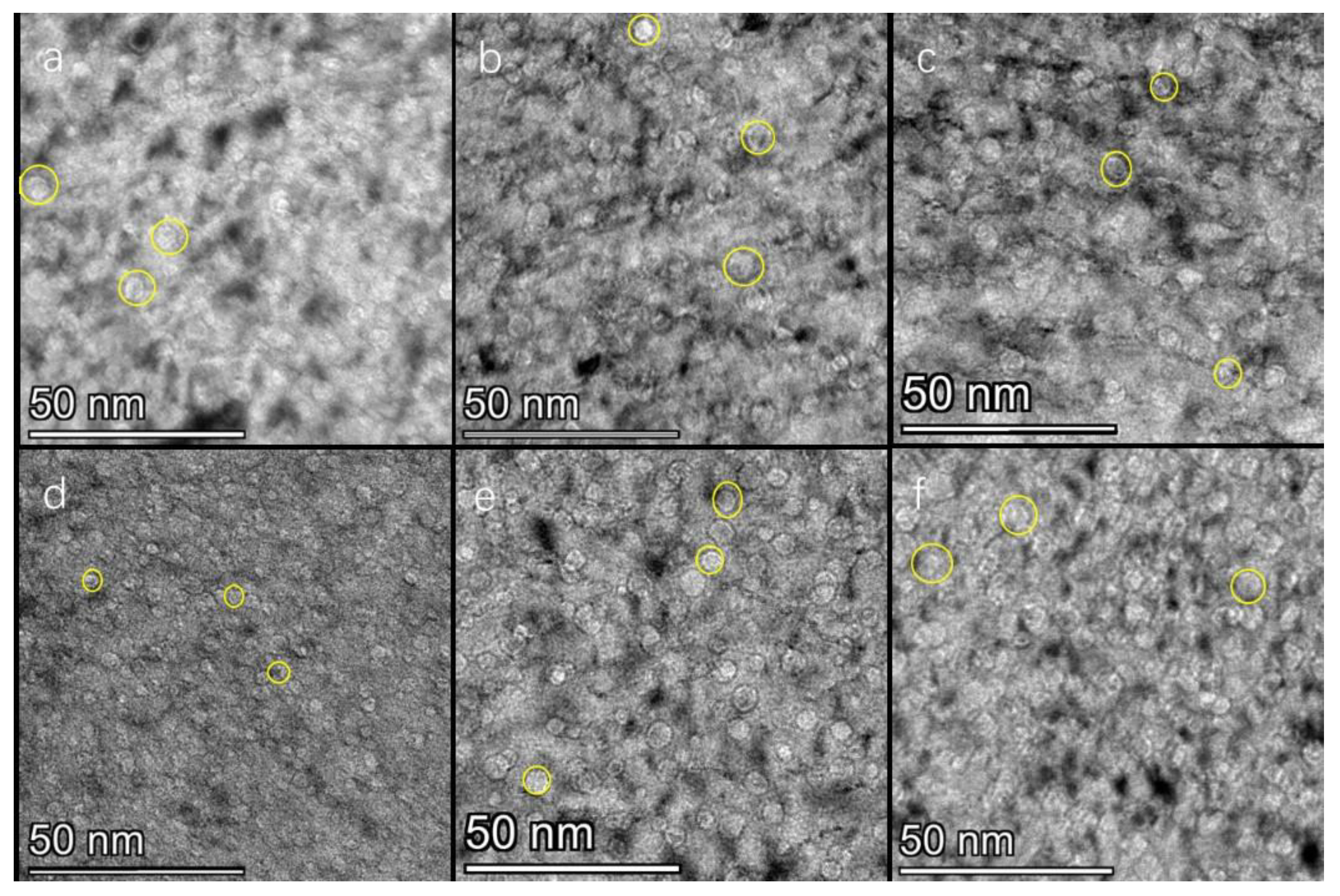 Nanomaterials 13 01324 g001