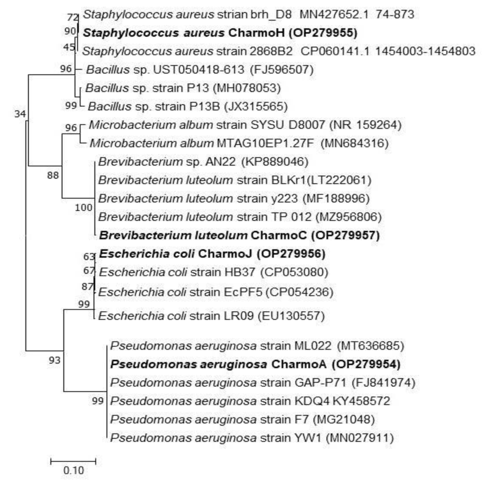 Nanomaterials 13 01327 g008