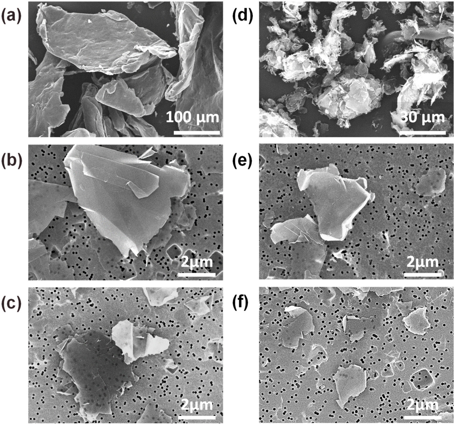 Nanomaterials 13 01328 g001
