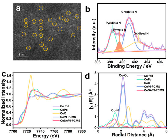 Competitive Coordination-Oriented Monodispersed Cobalt Sites