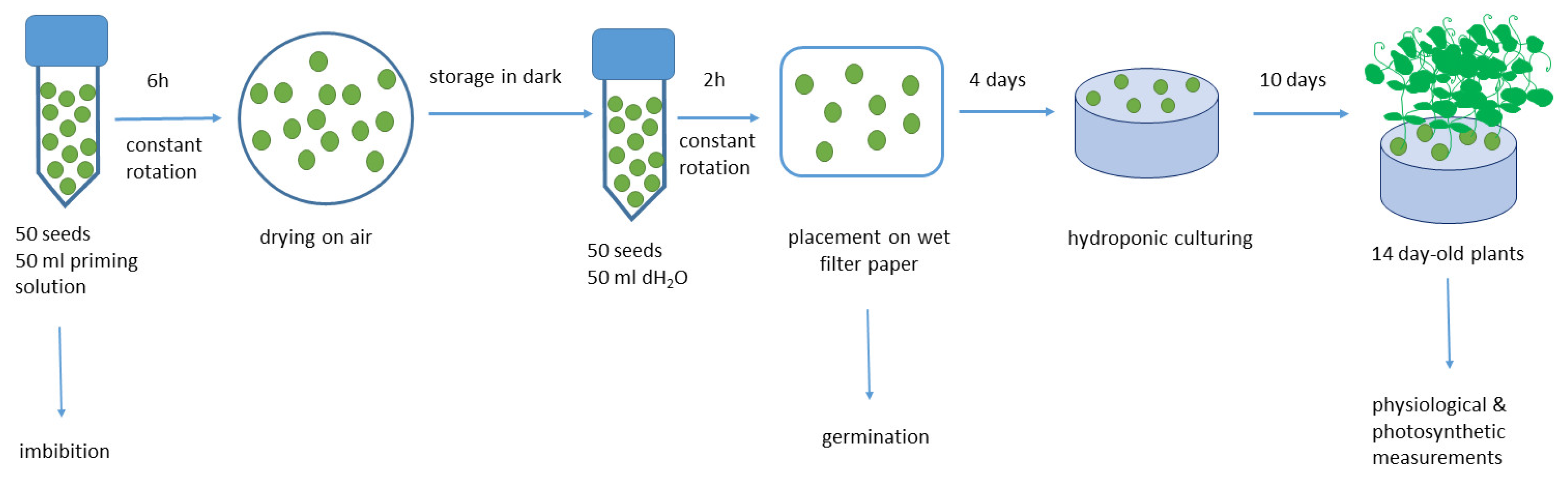 Nanomaterials 13 01332 sch001 Nanomaterials 13 01332 sch001