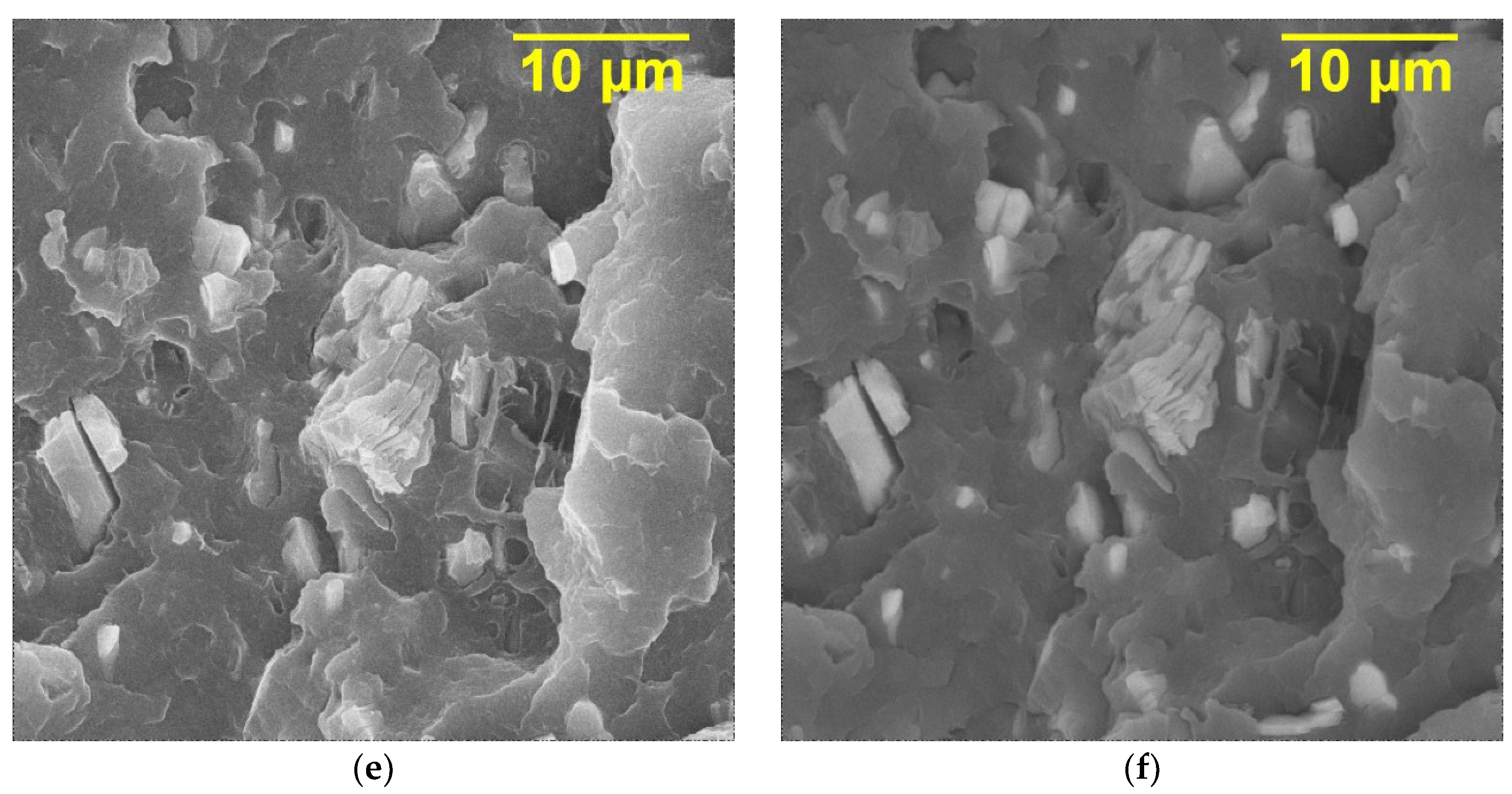 Nanomaterials 13 01337 g004b