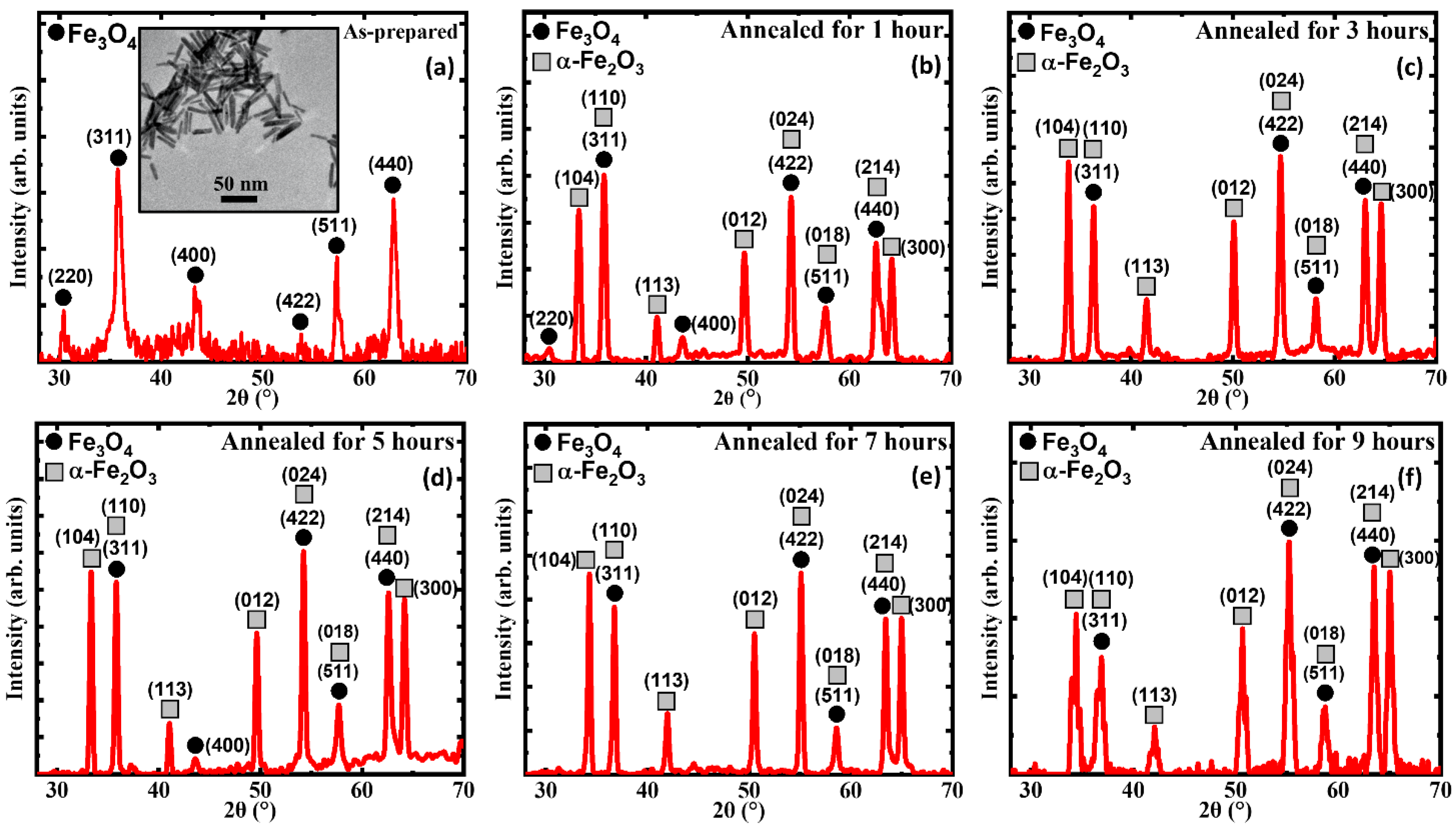 Nanomaterials 13 01340 g001